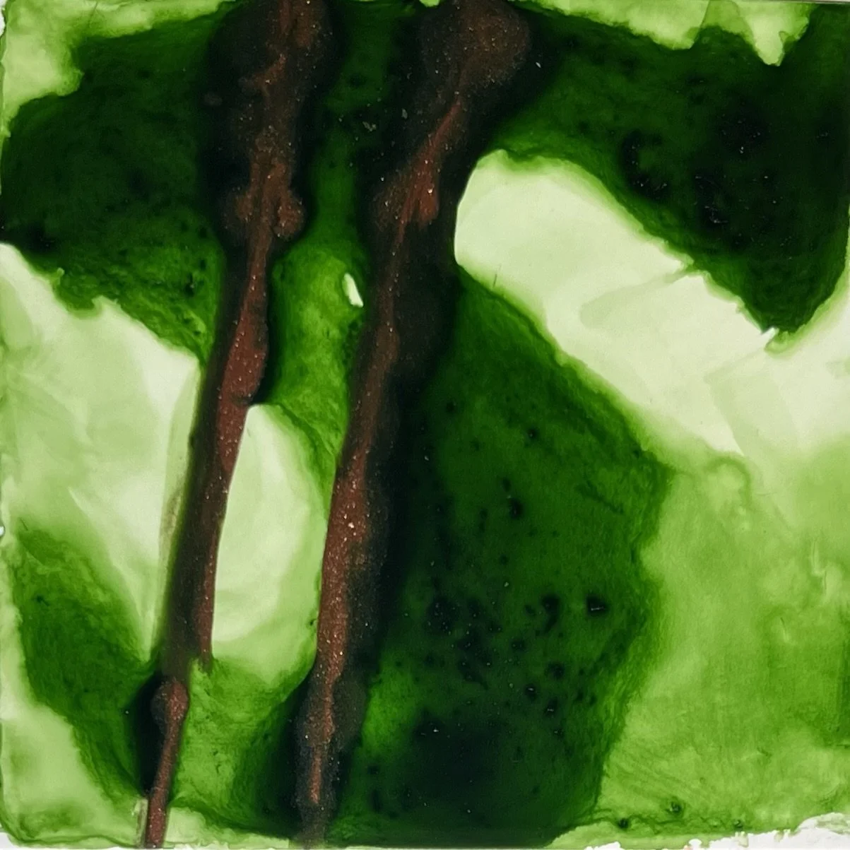Green, money sign, bronze $ dollar sign, yupo paper, Melissa Träumerin Traumerin Seattle Artist acrylic ink play