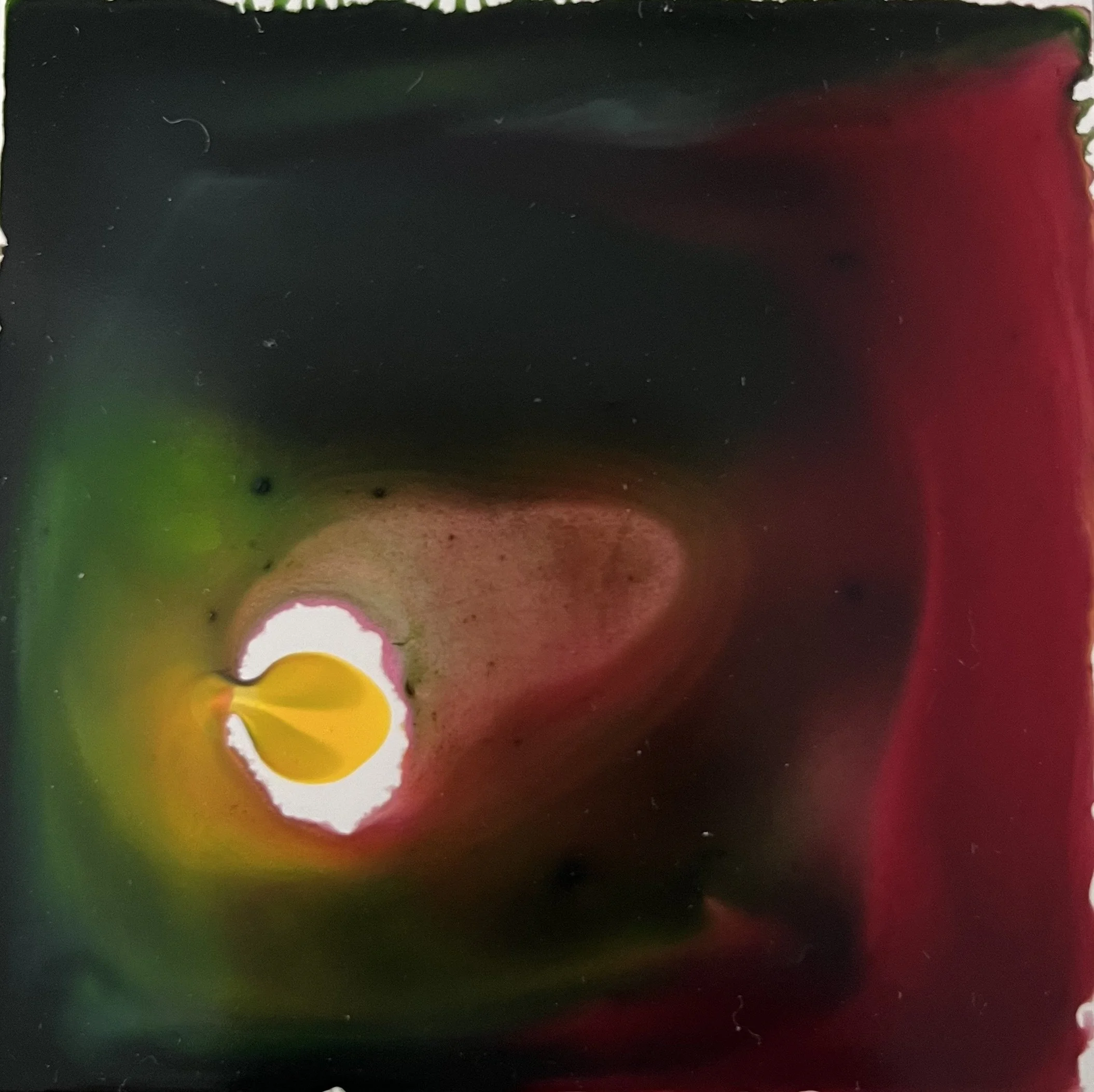 Seattle based artist Melissa Träumerin M Traumerin acrylic ink and water play meditation art seed growing