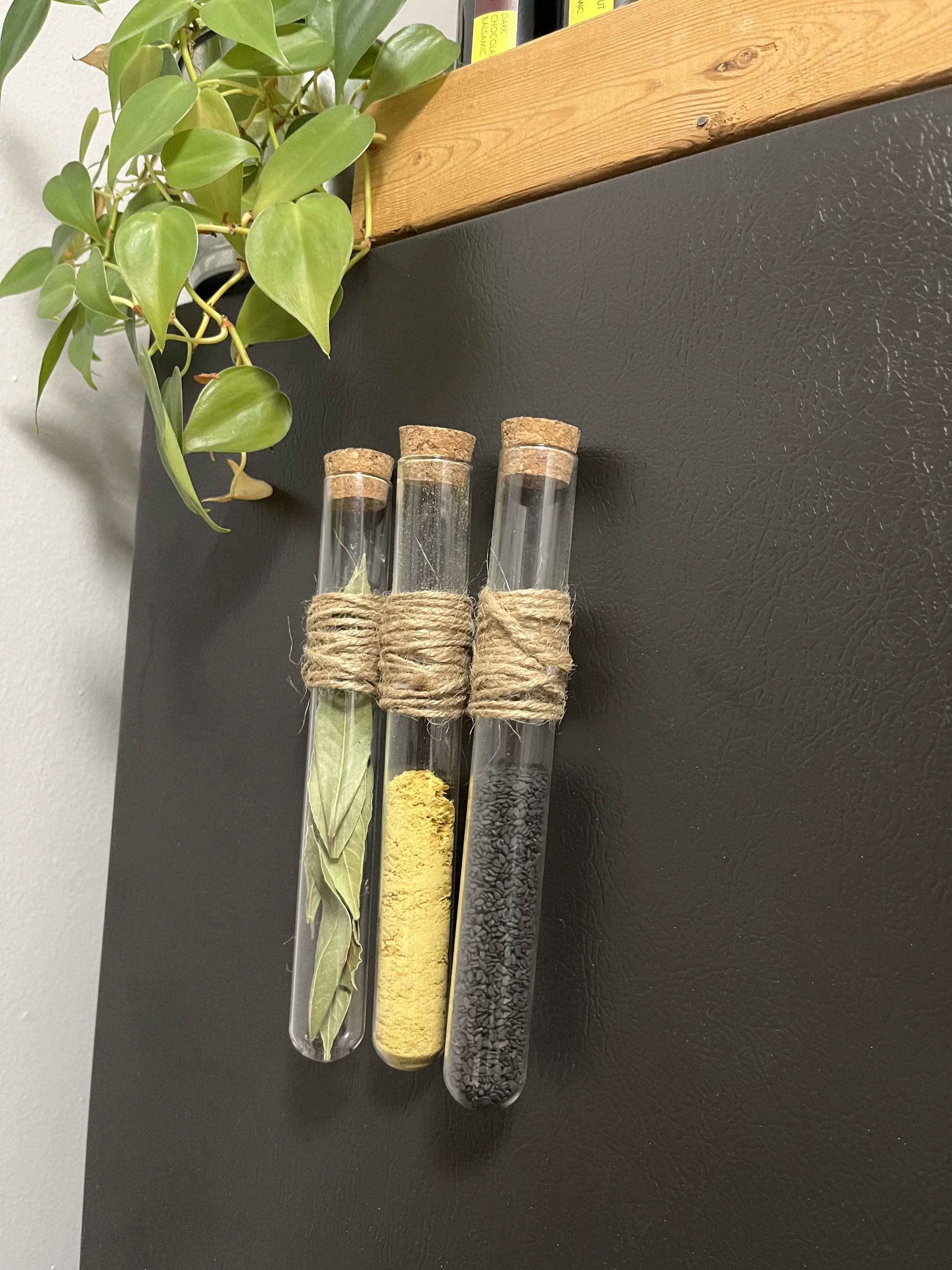 fridge magnets for extra spices