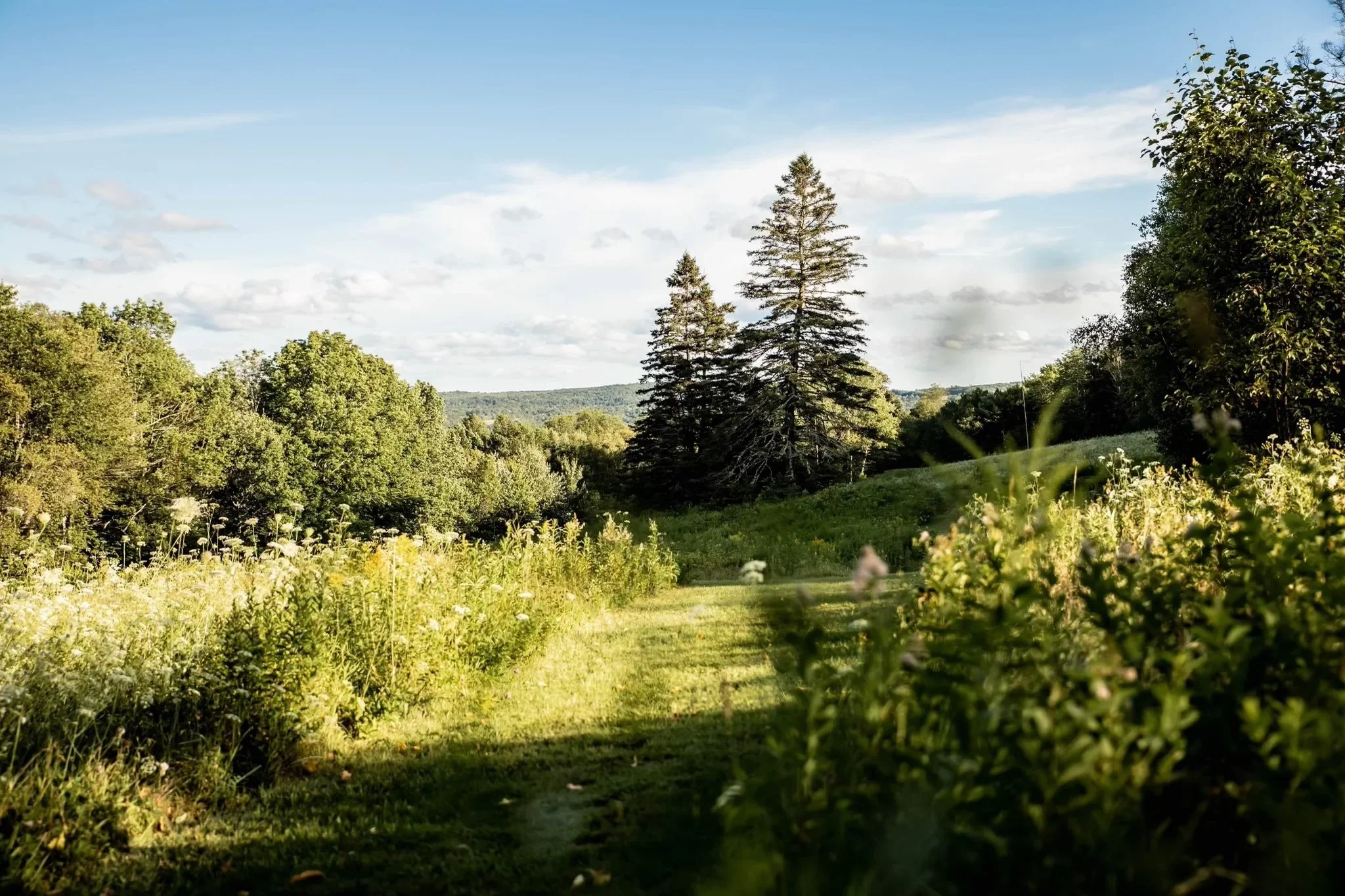 casa-portal-retreats-grounds3.jpeg.webp