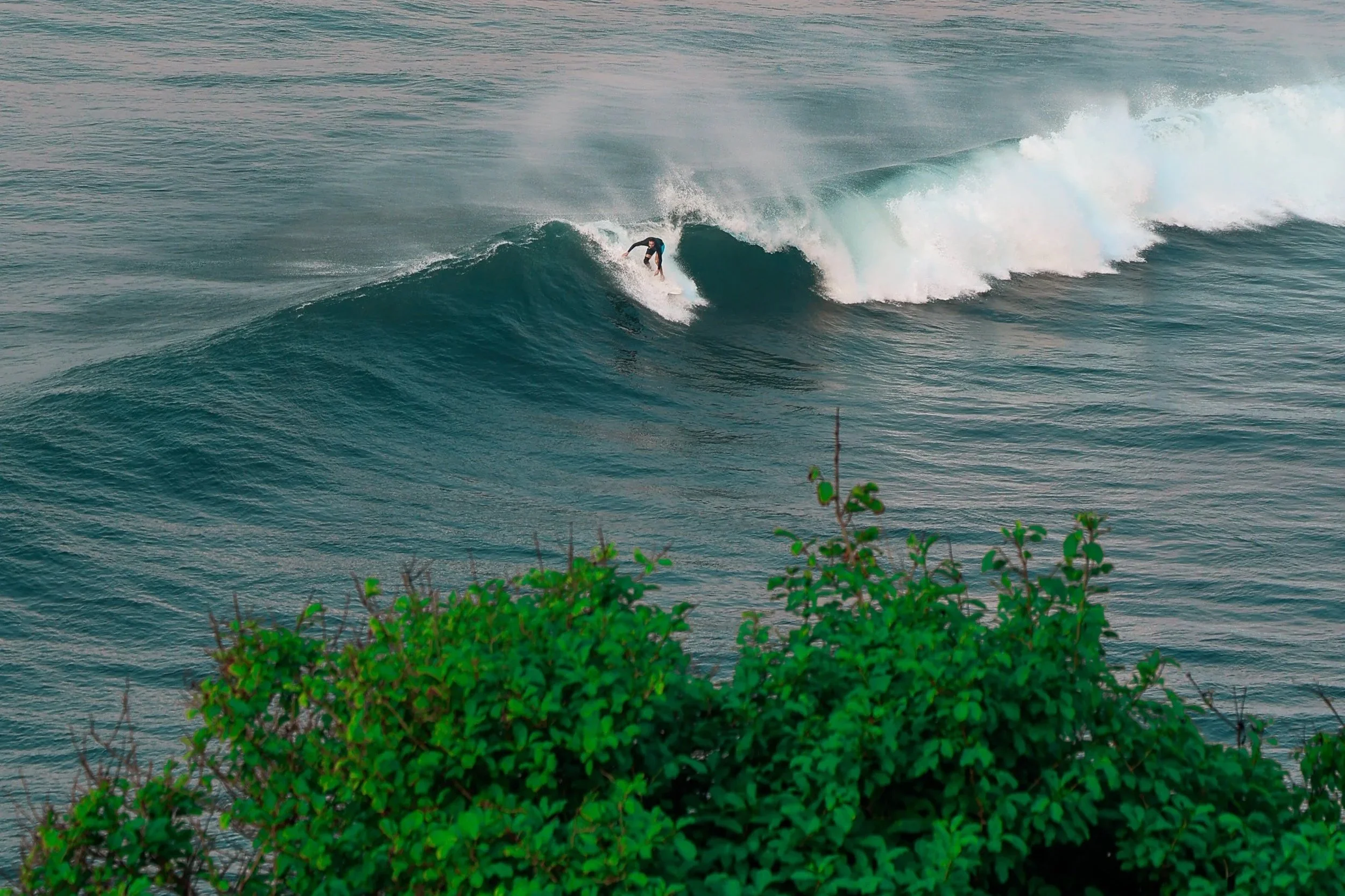 surf aerial view.jpg