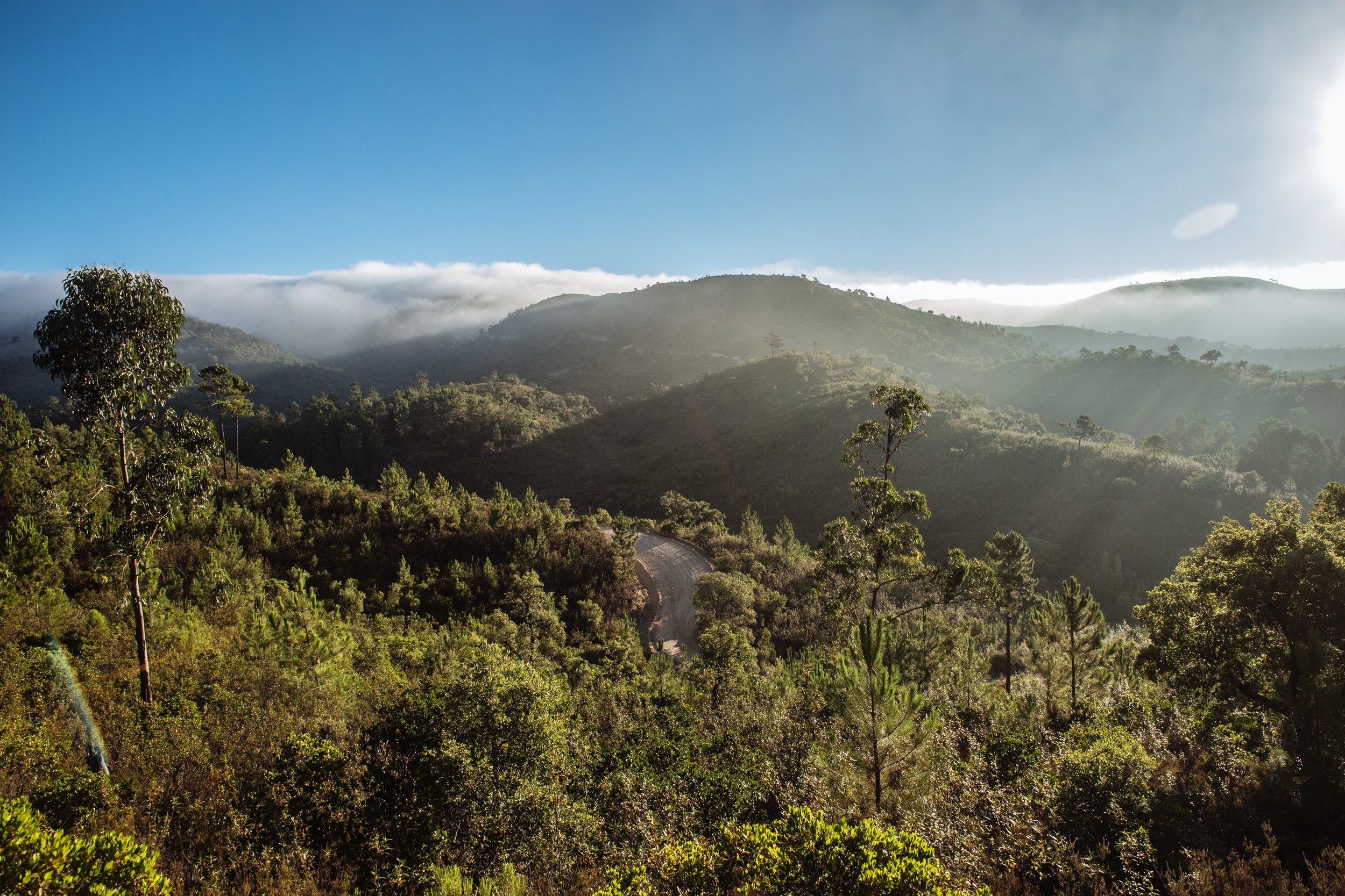 WildViewRetreat_Walks_LR-21.JPG