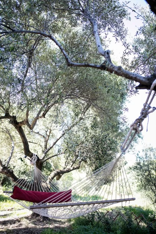 vericoco-retreat-tree-bed.jpg