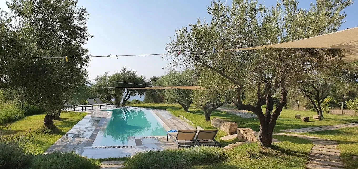 Pool and Grass.jpeg