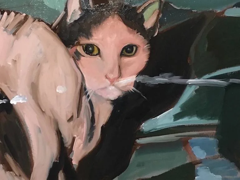 Cat   11" x 8.5"