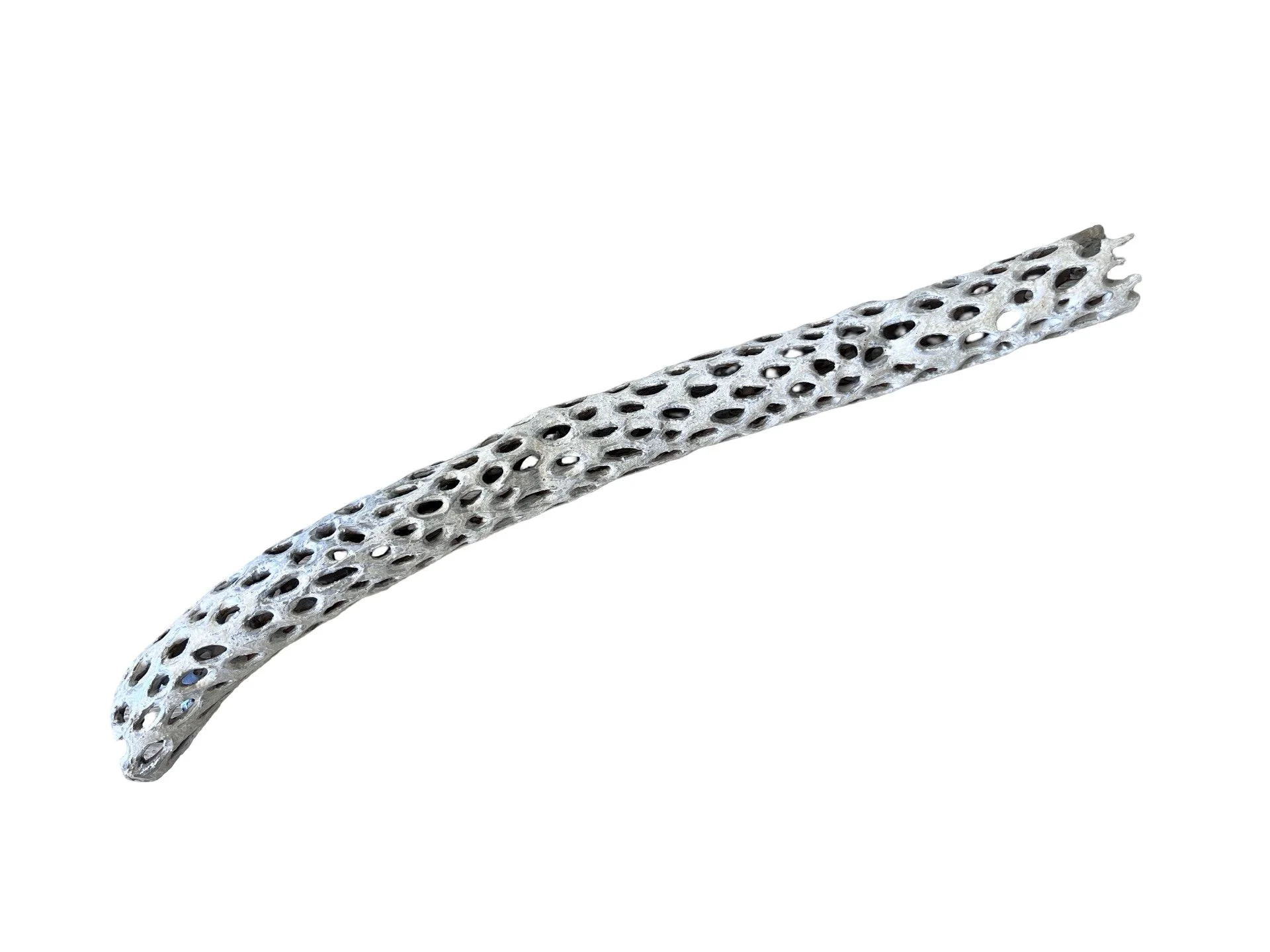 Habitat #4