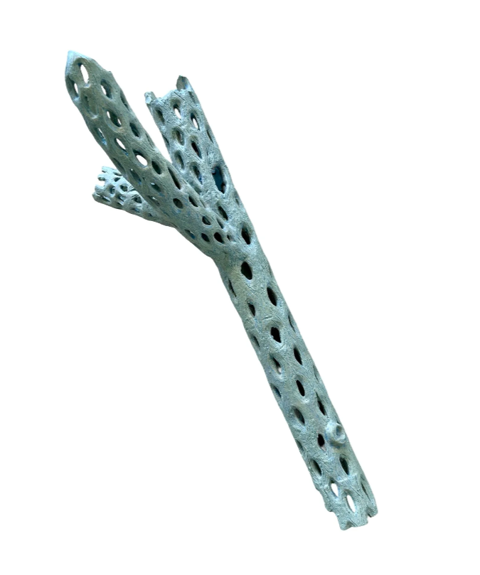 "Habitat #6" Glazed Ceramic Cholla, Cone 6,
24" x 7",
2024