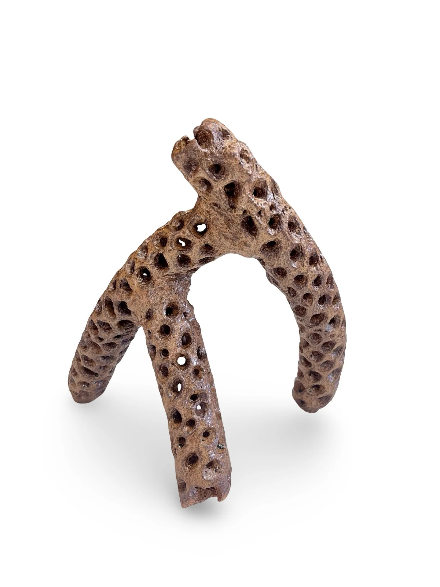 "Habitat #7" Glazed Ceramic Cholla, Reduction,
15" x 15",
2026