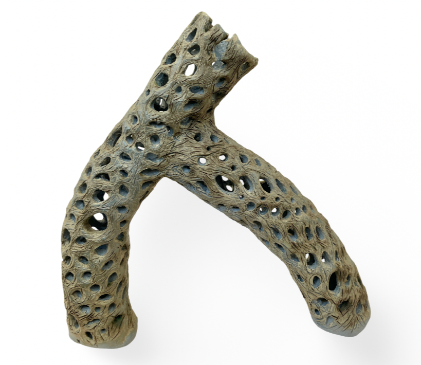 "Habitat" Glazed Ceramic Cholla, Cone 6,
14" x 14",
2026