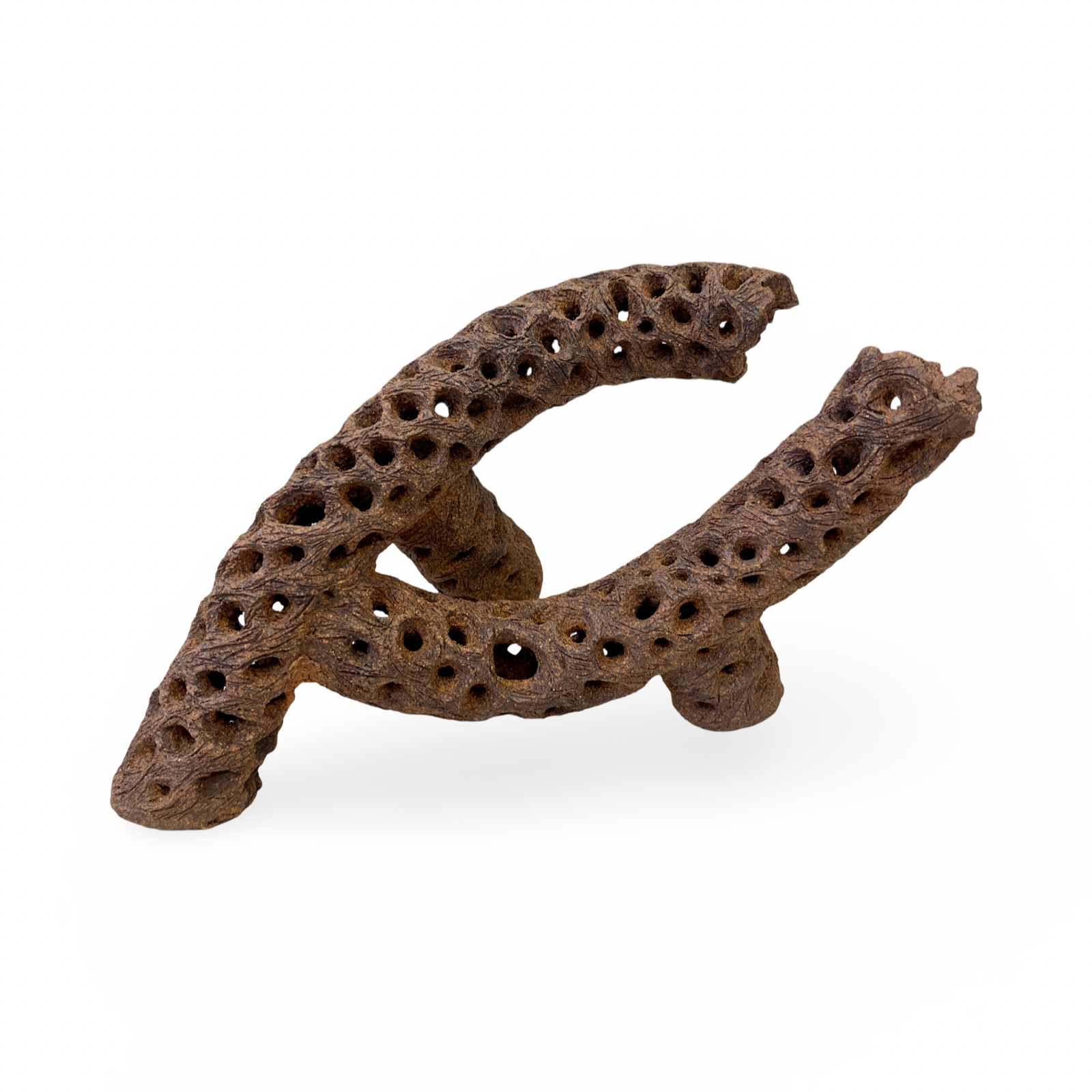 "Habitat #5" Ceramic Cholla, Reduction,
15" x 10",
2026