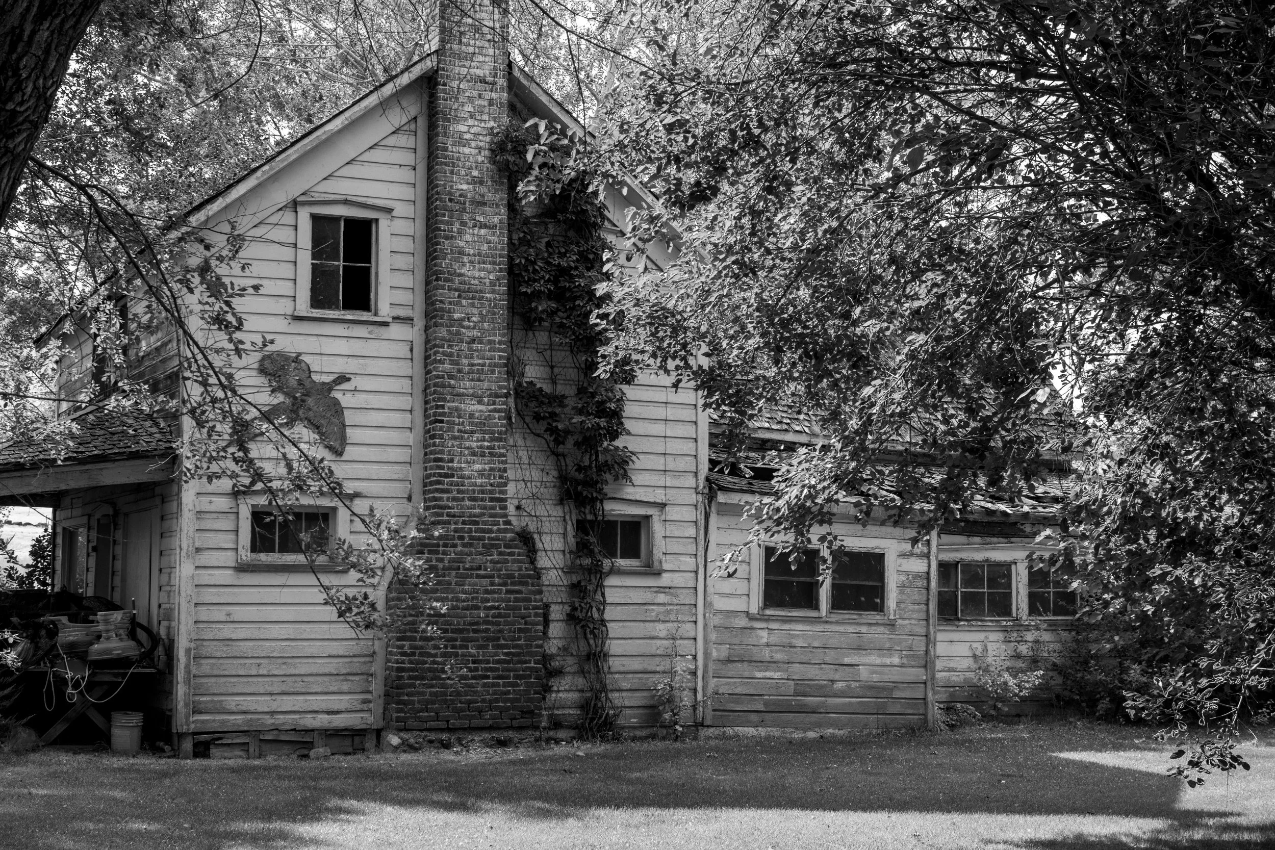 DSC_0304.jpeg
