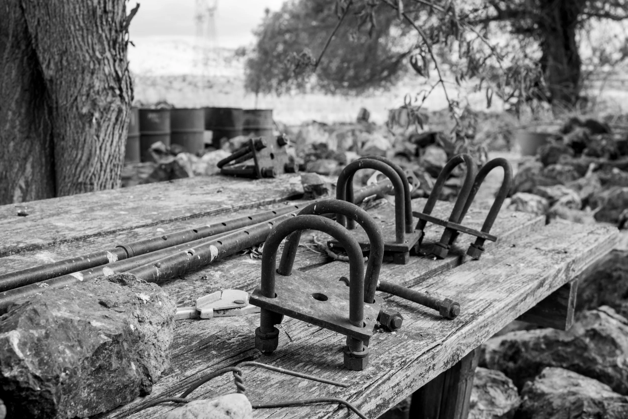 DSC_0318.jpeg