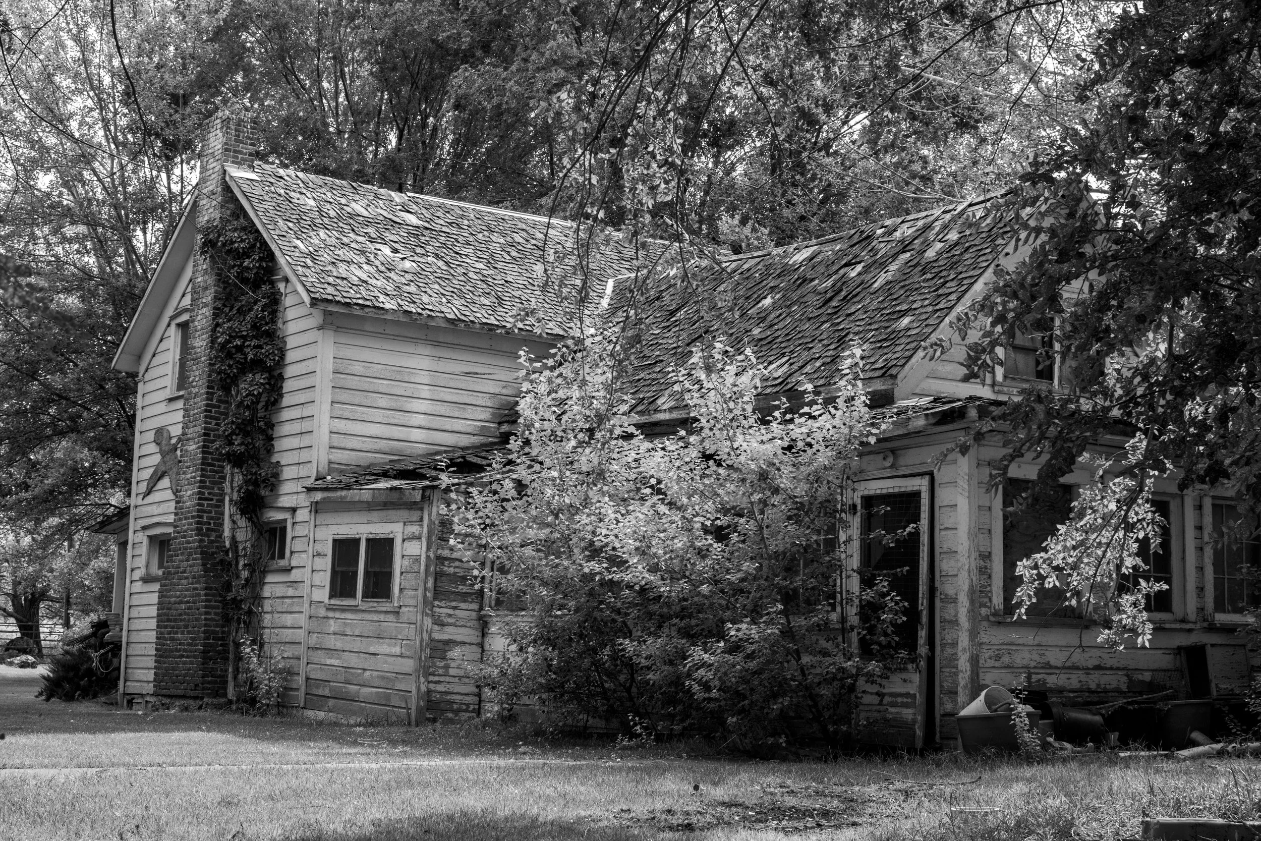 DSC_0307.jpeg
