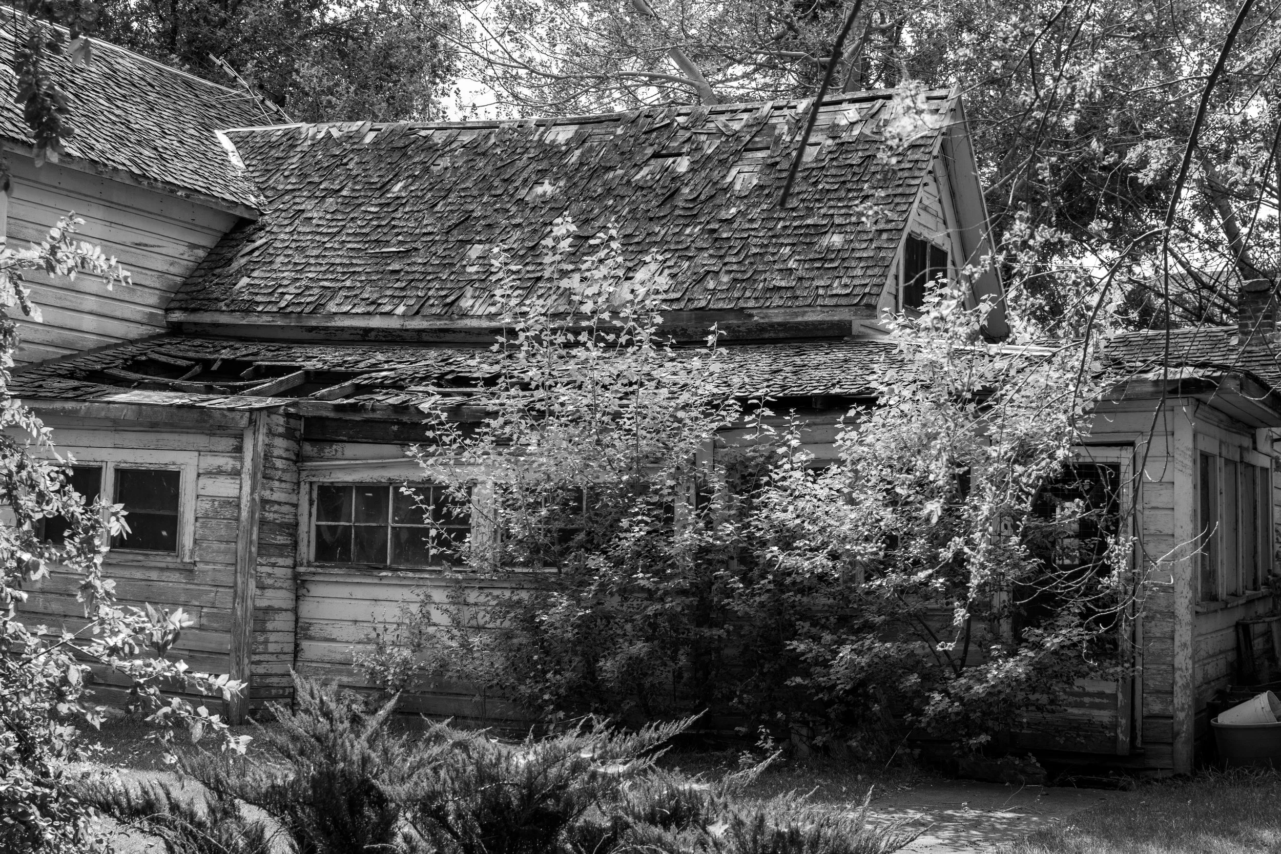 DSC_0306.jpeg