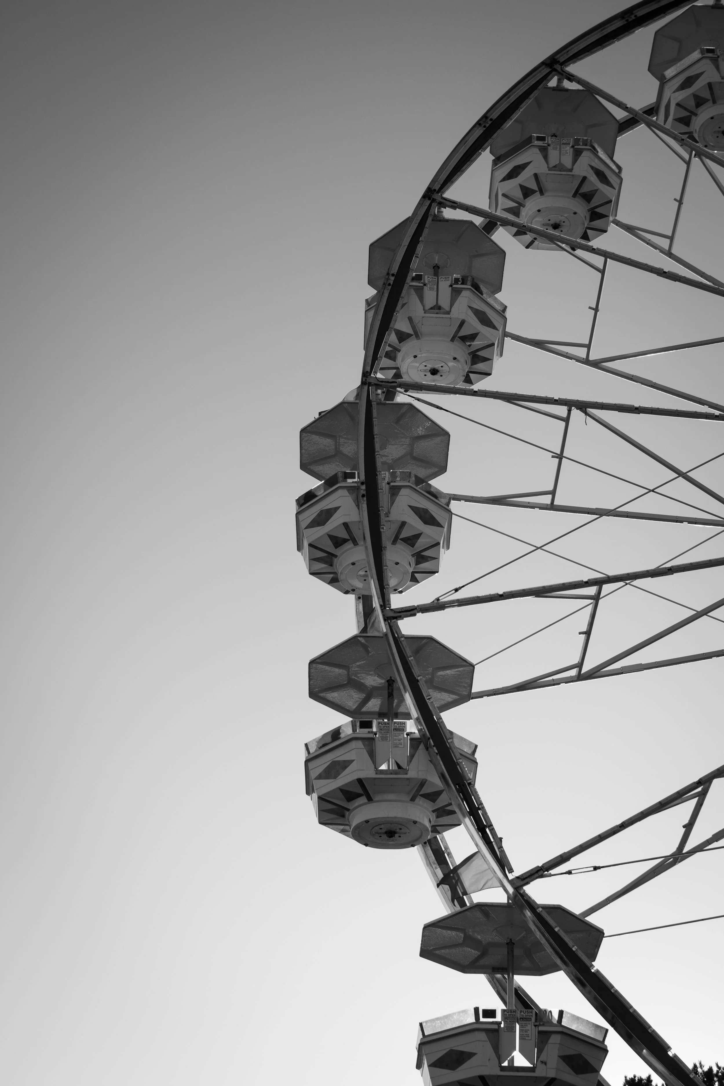 DSC_0109.jpeg