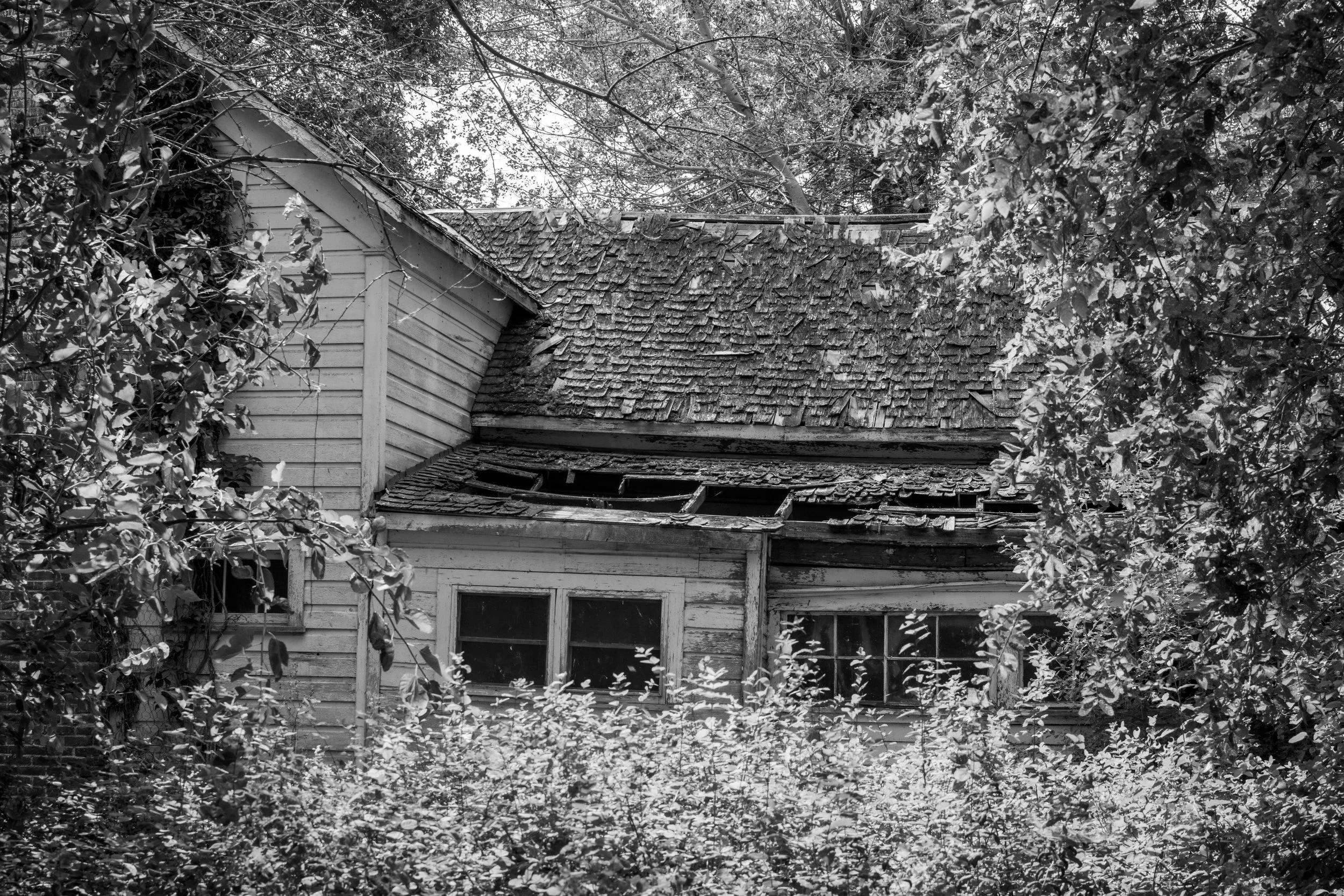 DSC_0308.jpeg