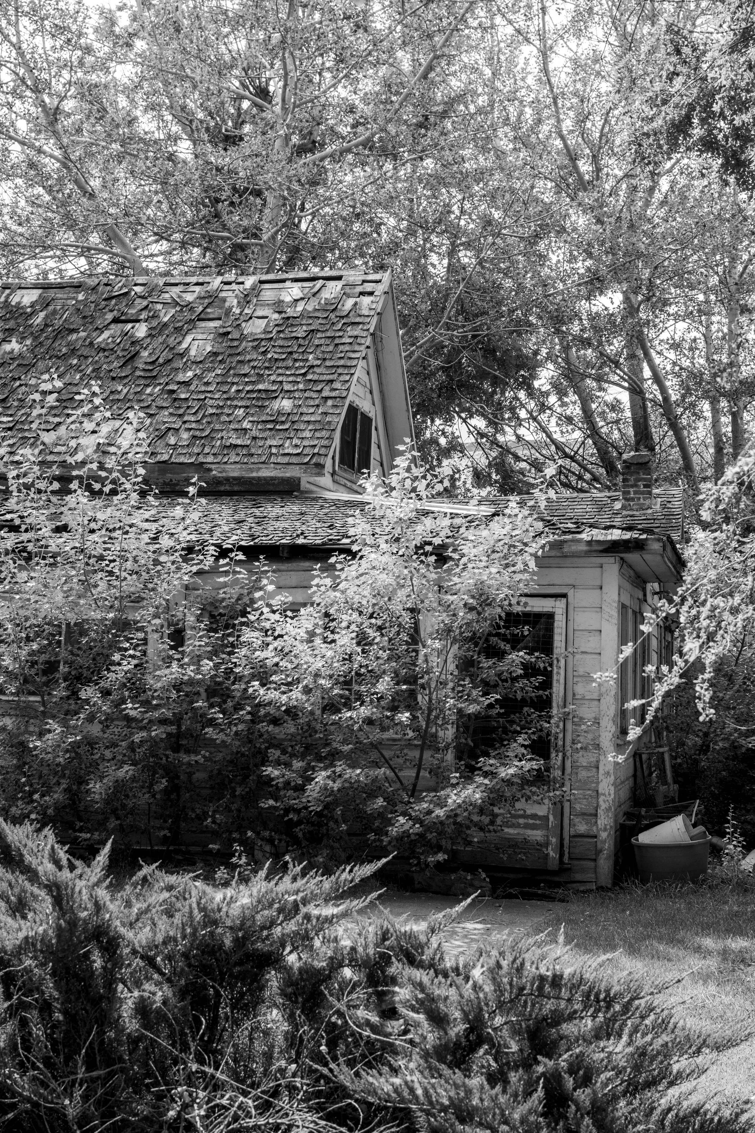 DSC_0305.jpeg