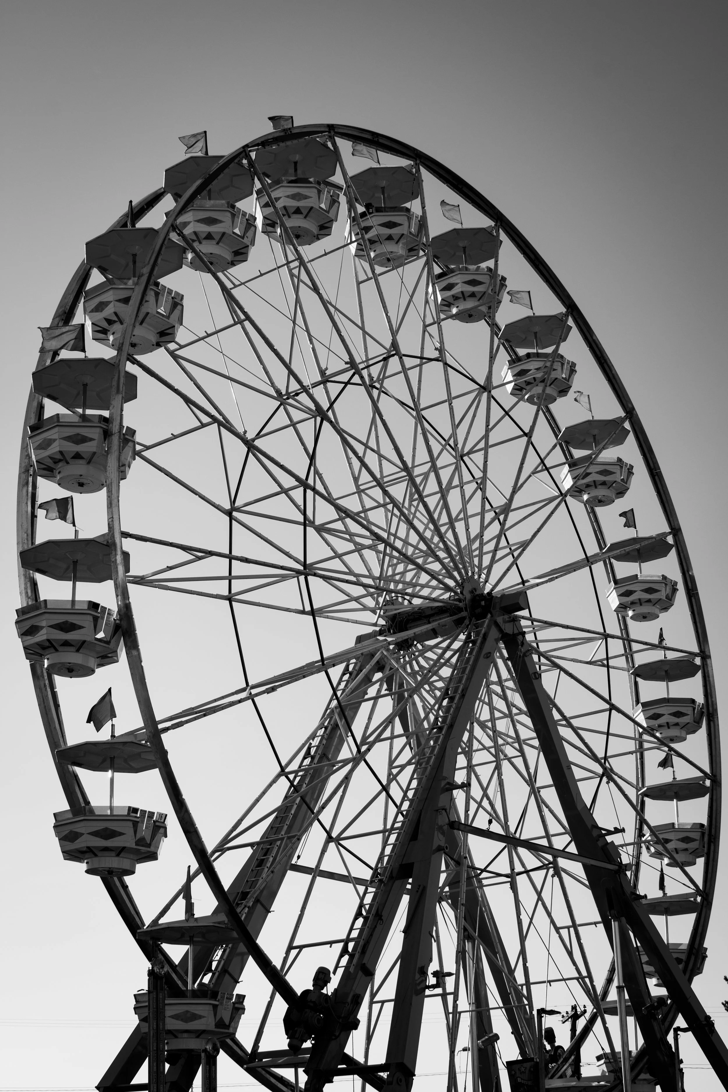 DSC_0102.jpeg