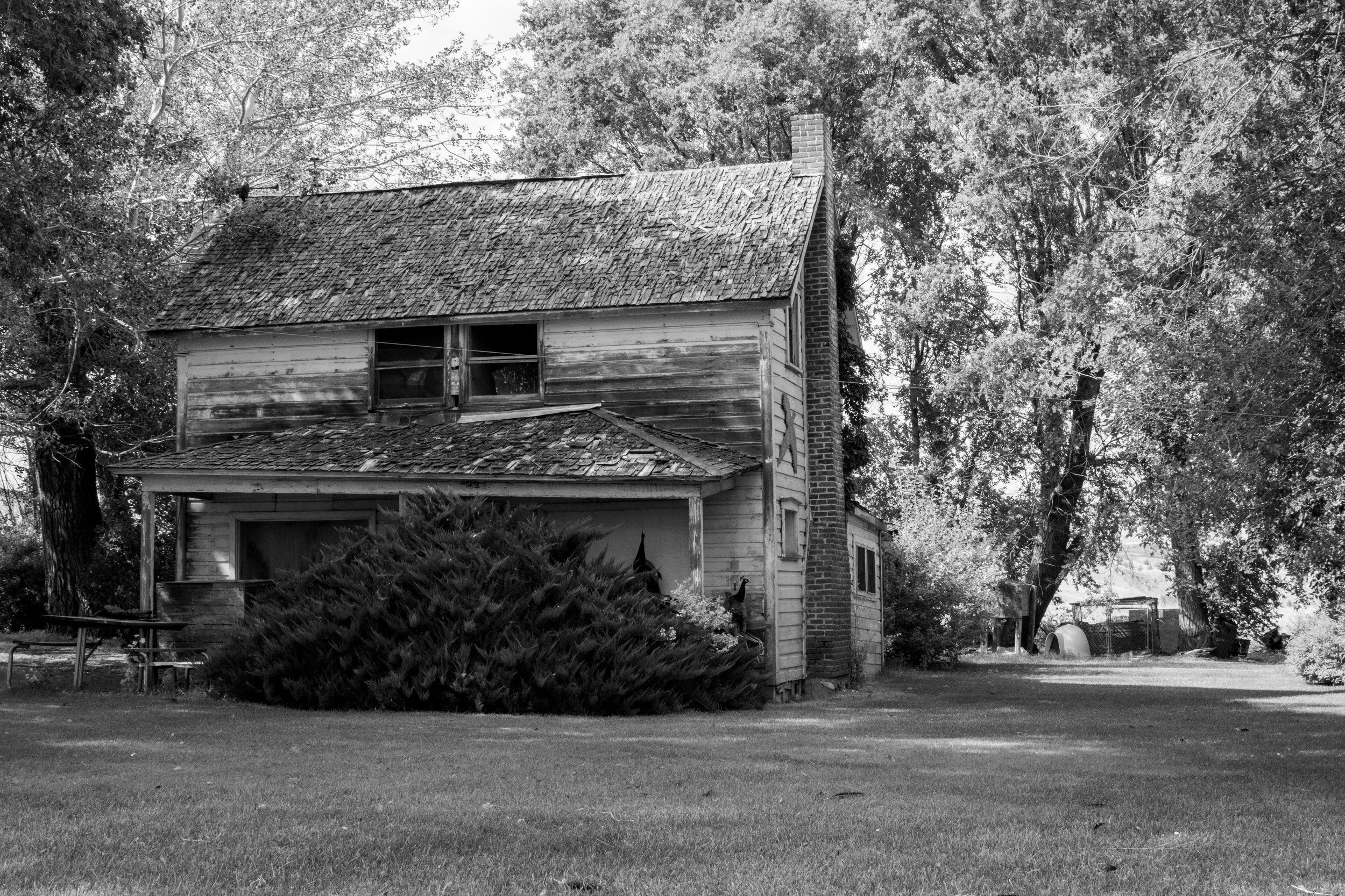 DSC_0315.jpeg