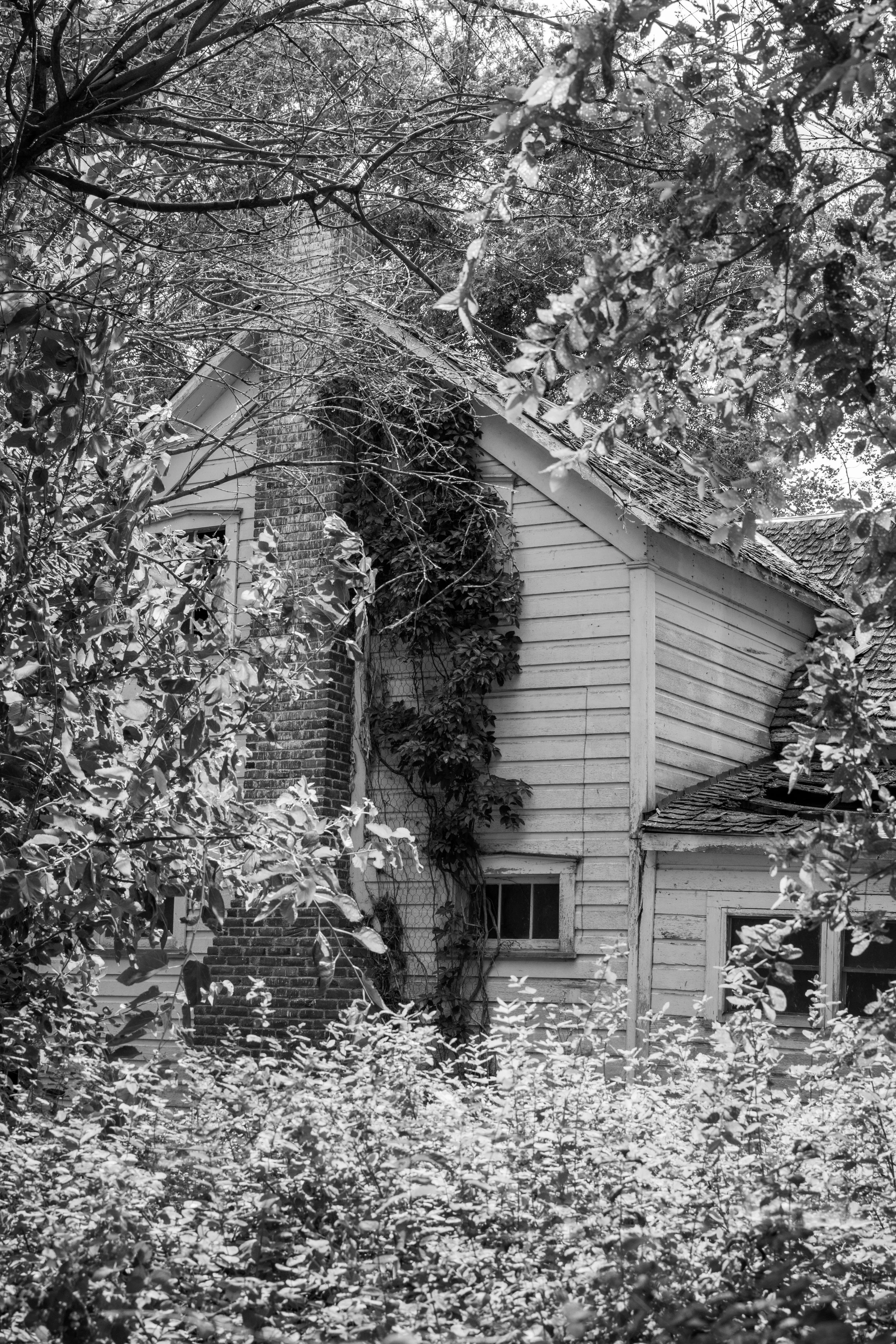 DSC_0309.jpeg
