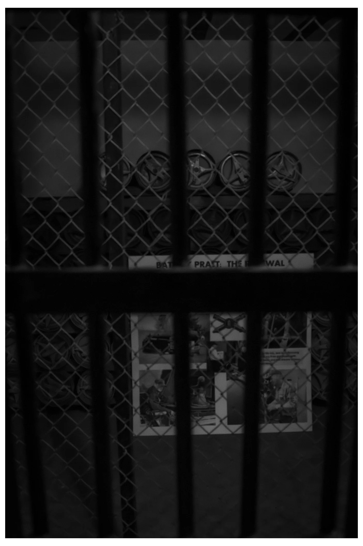 IMG_5564.jpeg