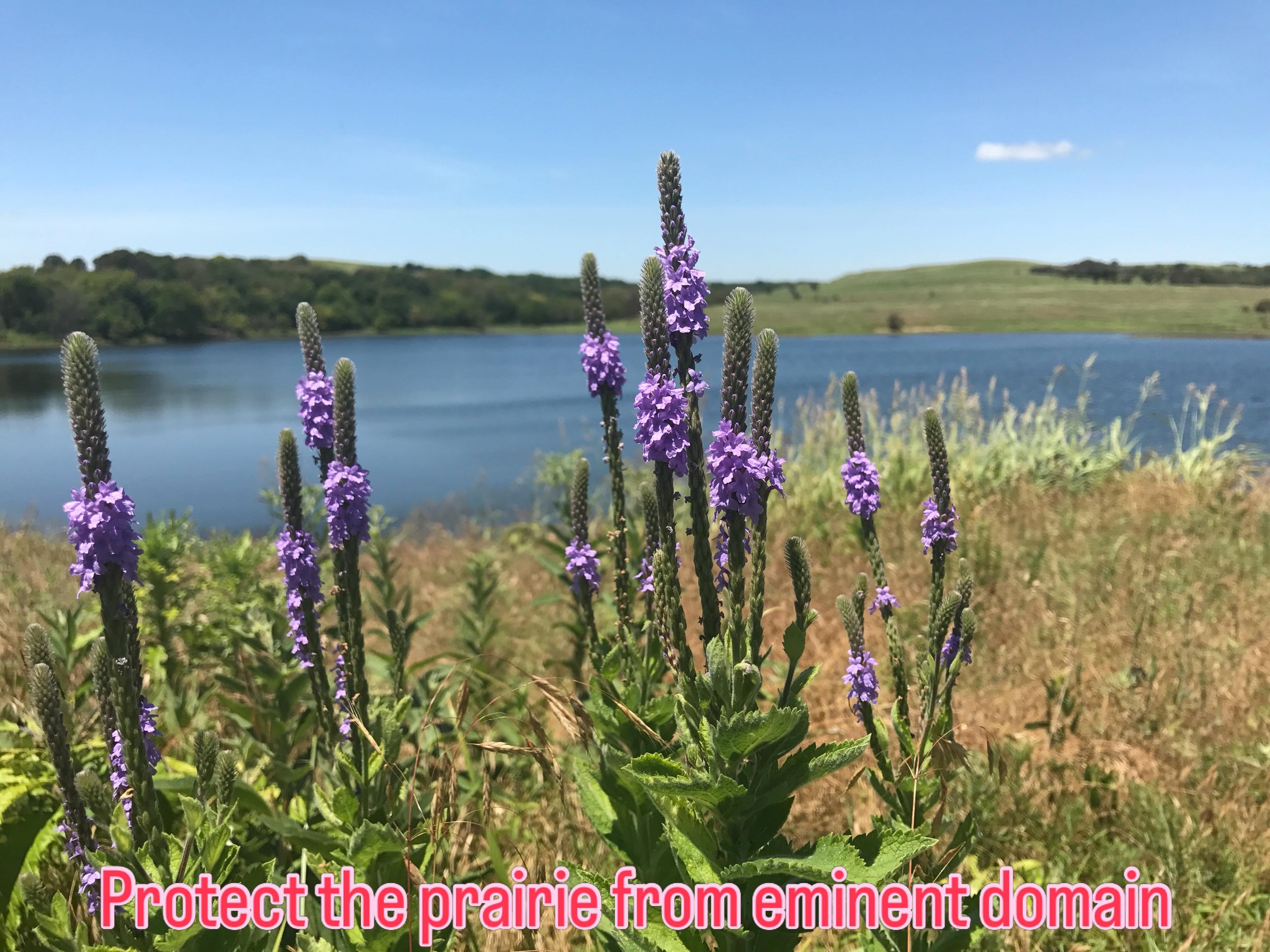 Please join us in our effort to oppose Evergy&rsquo;s proposed 345 kV Buffalo Flats transmission line, a project currently before the Kansas Corporation Commission. Kansans should oppose this line for the following reasons: 

&bull; Lack of Competiti