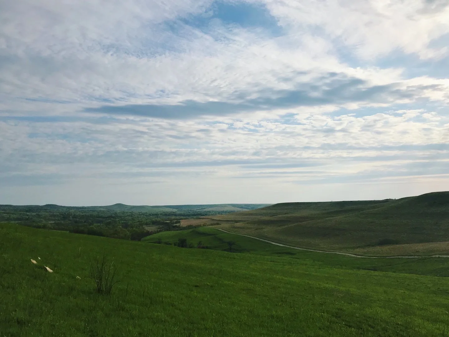 Over 2300 signatures!! Help us continue to oppose Evergy's line &amp; use your voice. Please sign the petition if you haven't yet &amp; share your favorite photo of the Flint Hills to be featured. Linked below!

Thank you, Susannah, for sharing this 