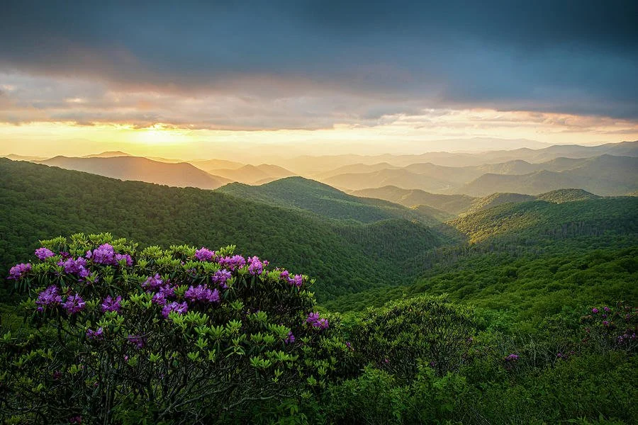 Blue Ridge Mountains Western North Carolina near Flat Rock aerial landscape