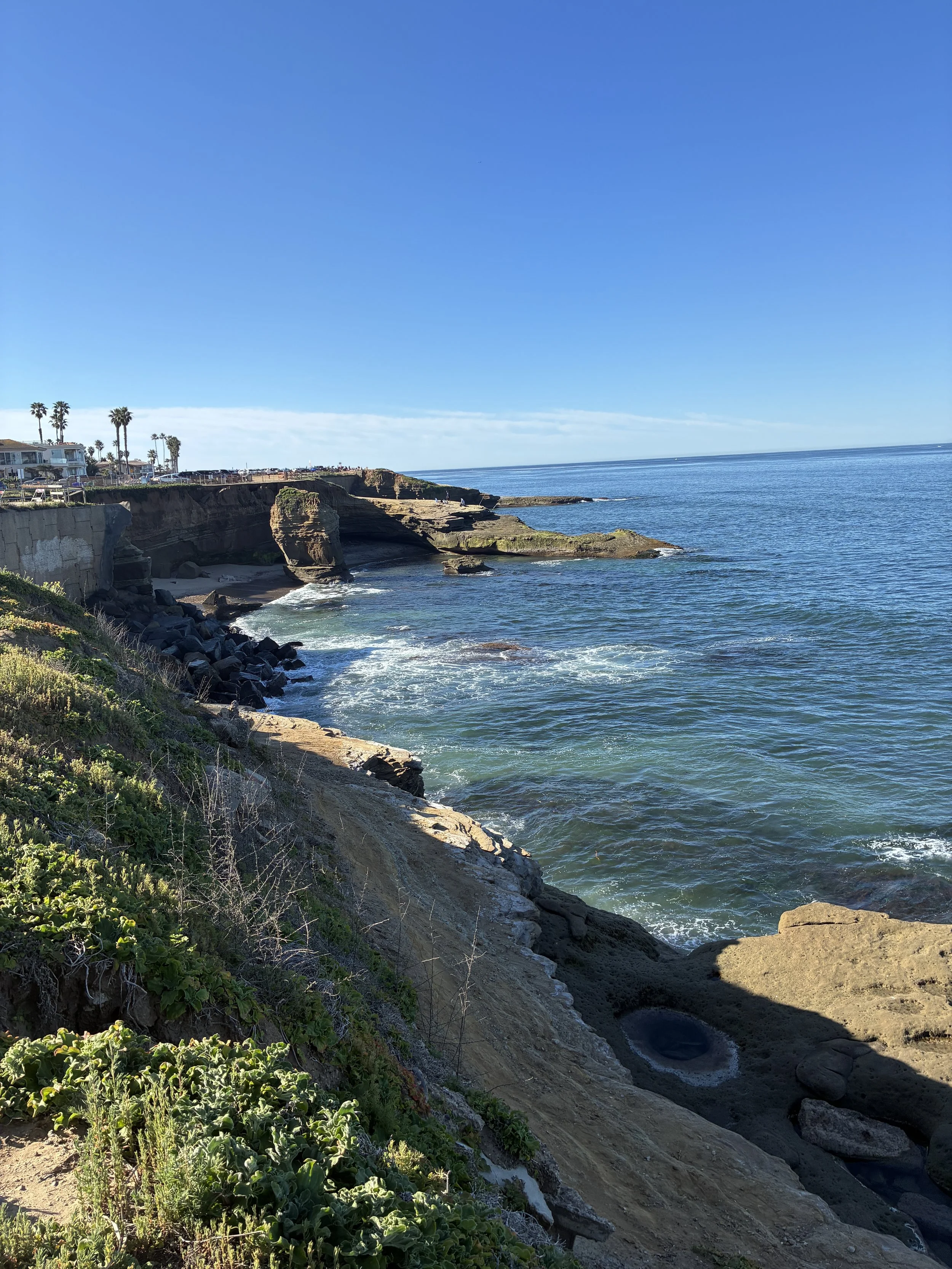 Coastal bluffs overlooking the beach in North County San Diego