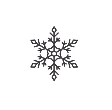 A black snowflake on a white background.