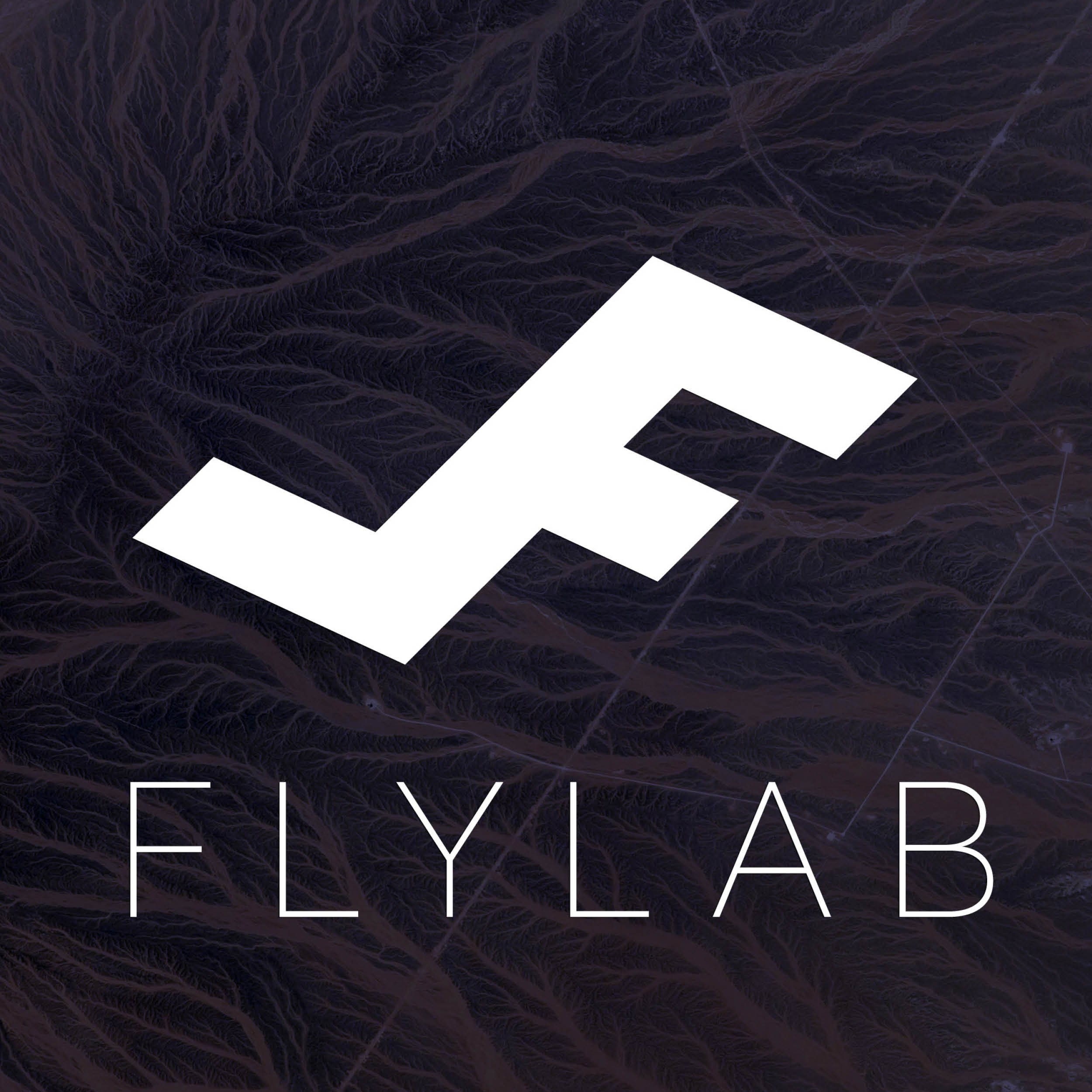 Website_Logos_Flylab.jpg