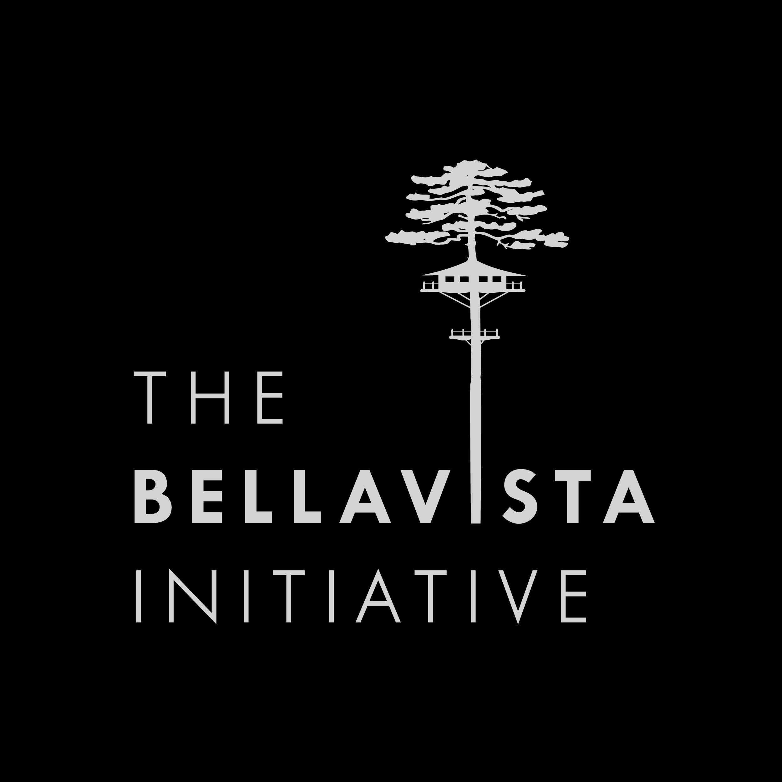 Website_Logos_Bellavista.jpg