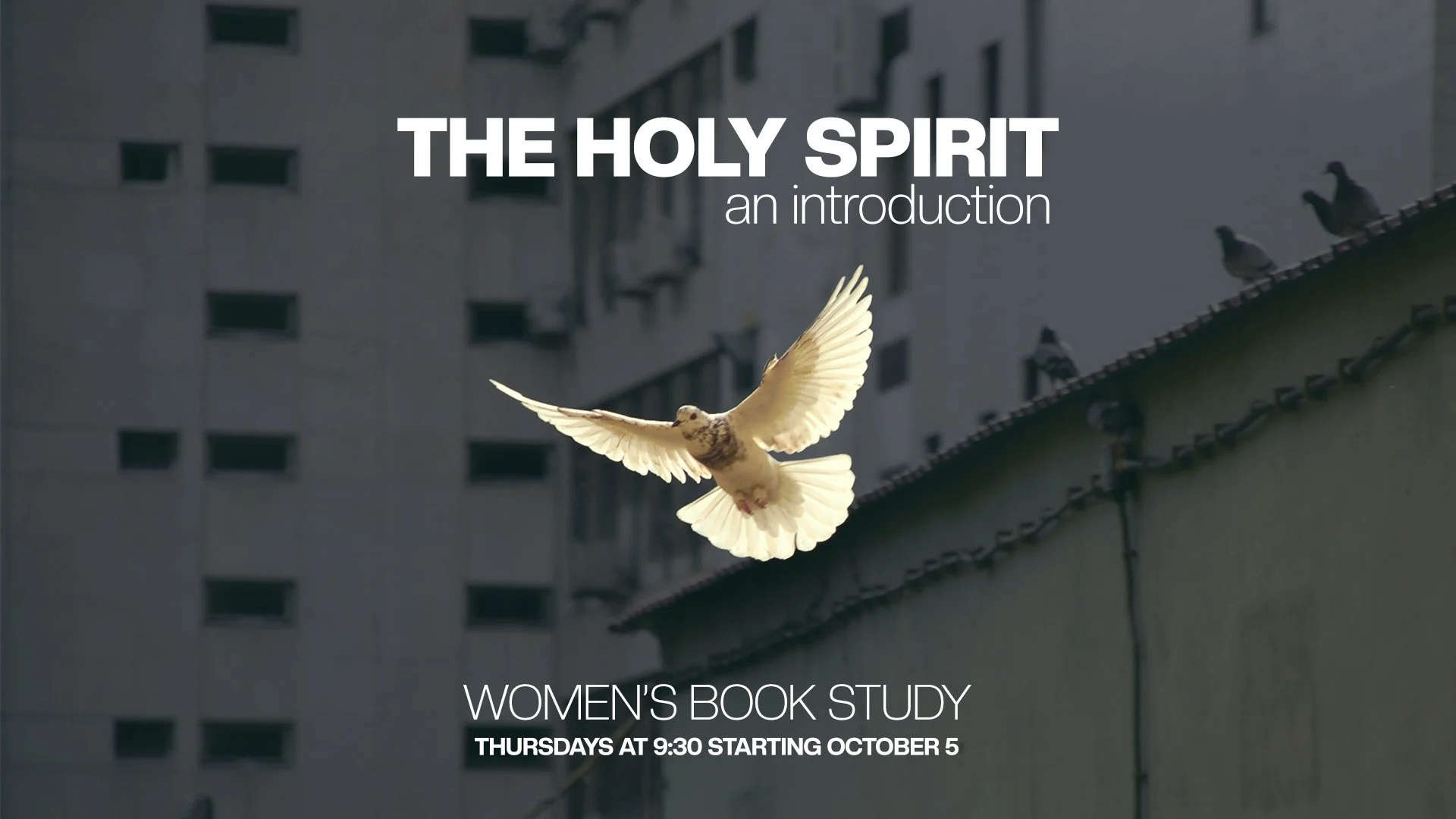 The Holy Spirit: An Introduction (Women's Book Study)