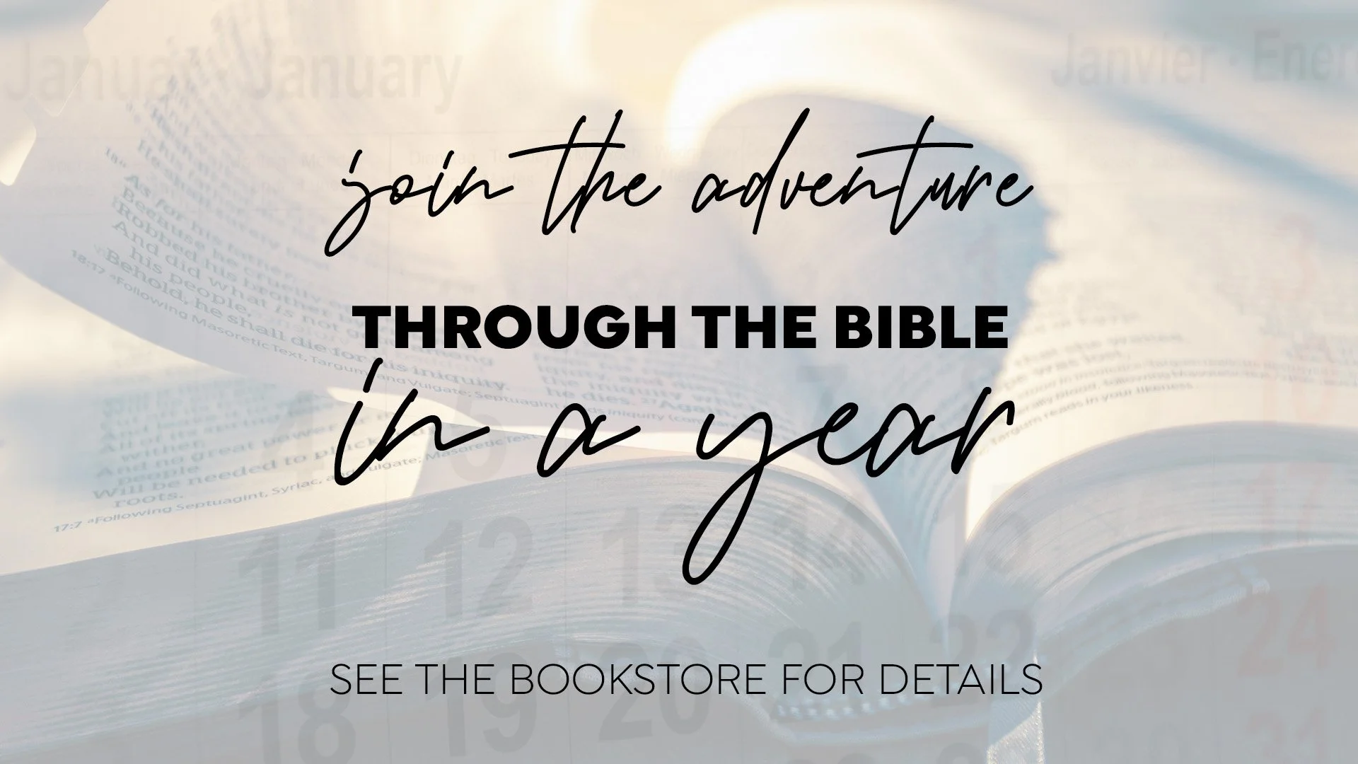 Through The Bible In A Year