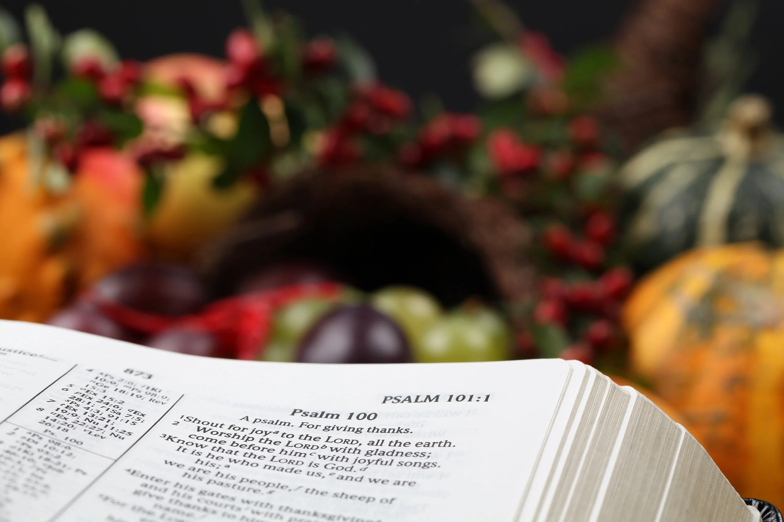 Gratitude, the Seed of Your Next Breakthrough