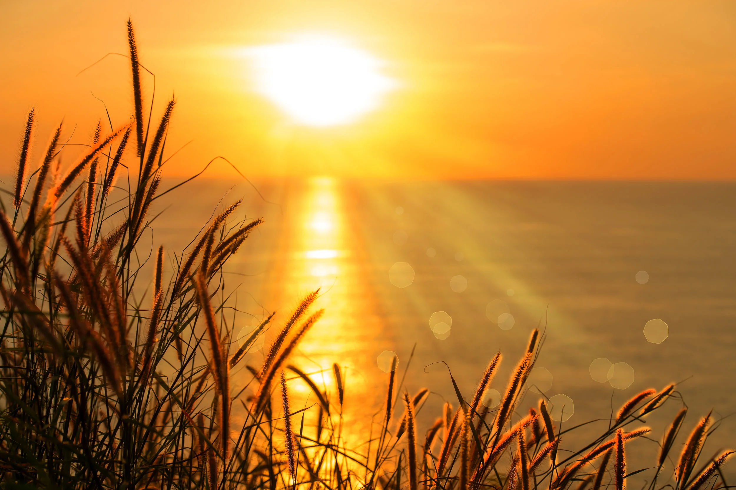 Guarding Gratefulness