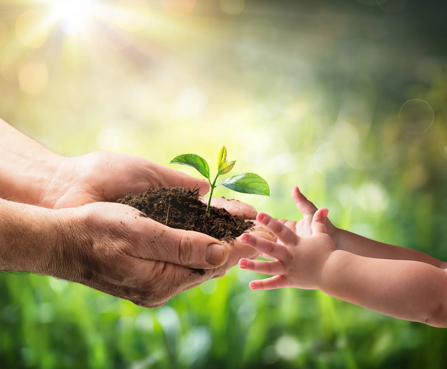 Receiving Child or Producing Son?