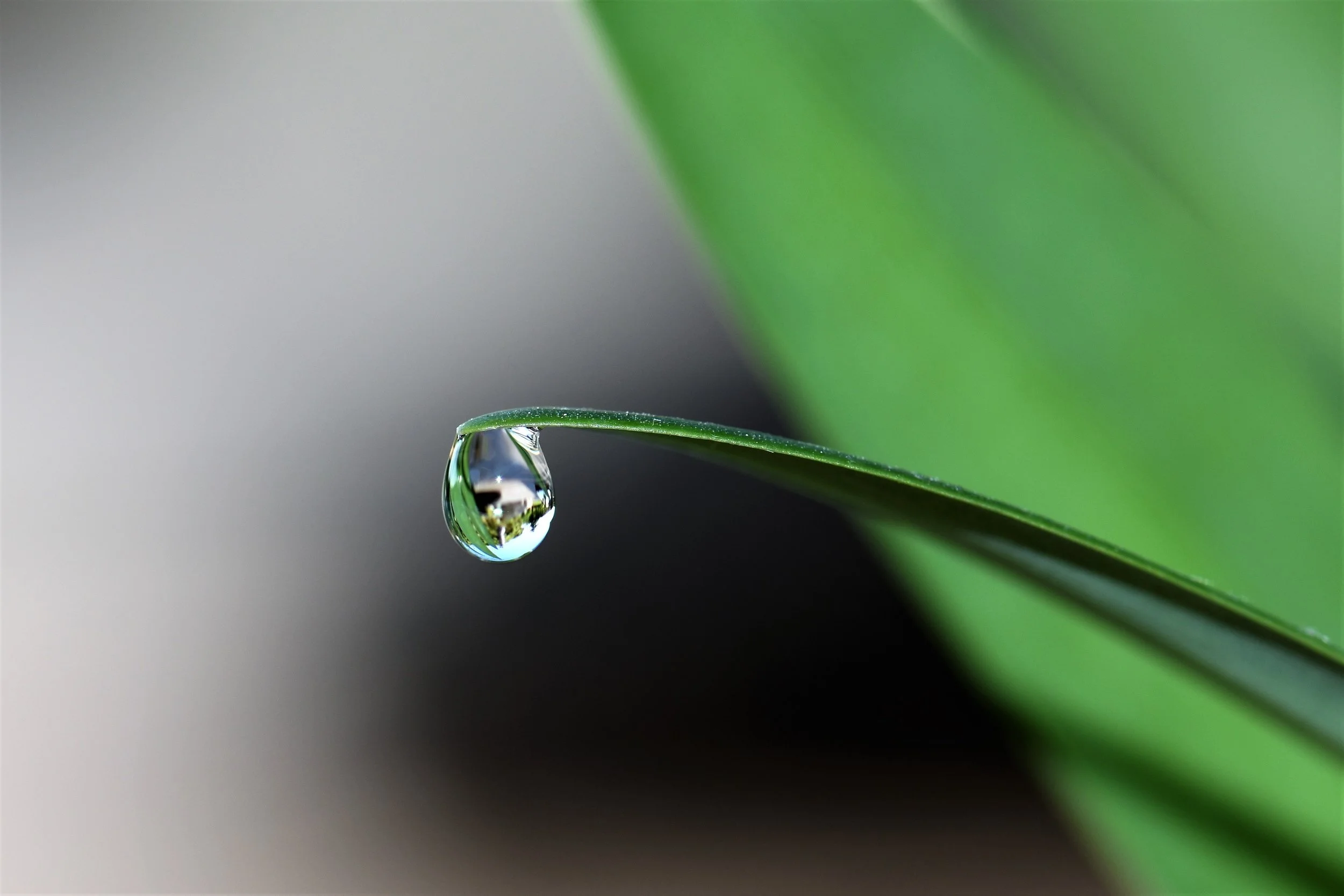 The Water Cycle