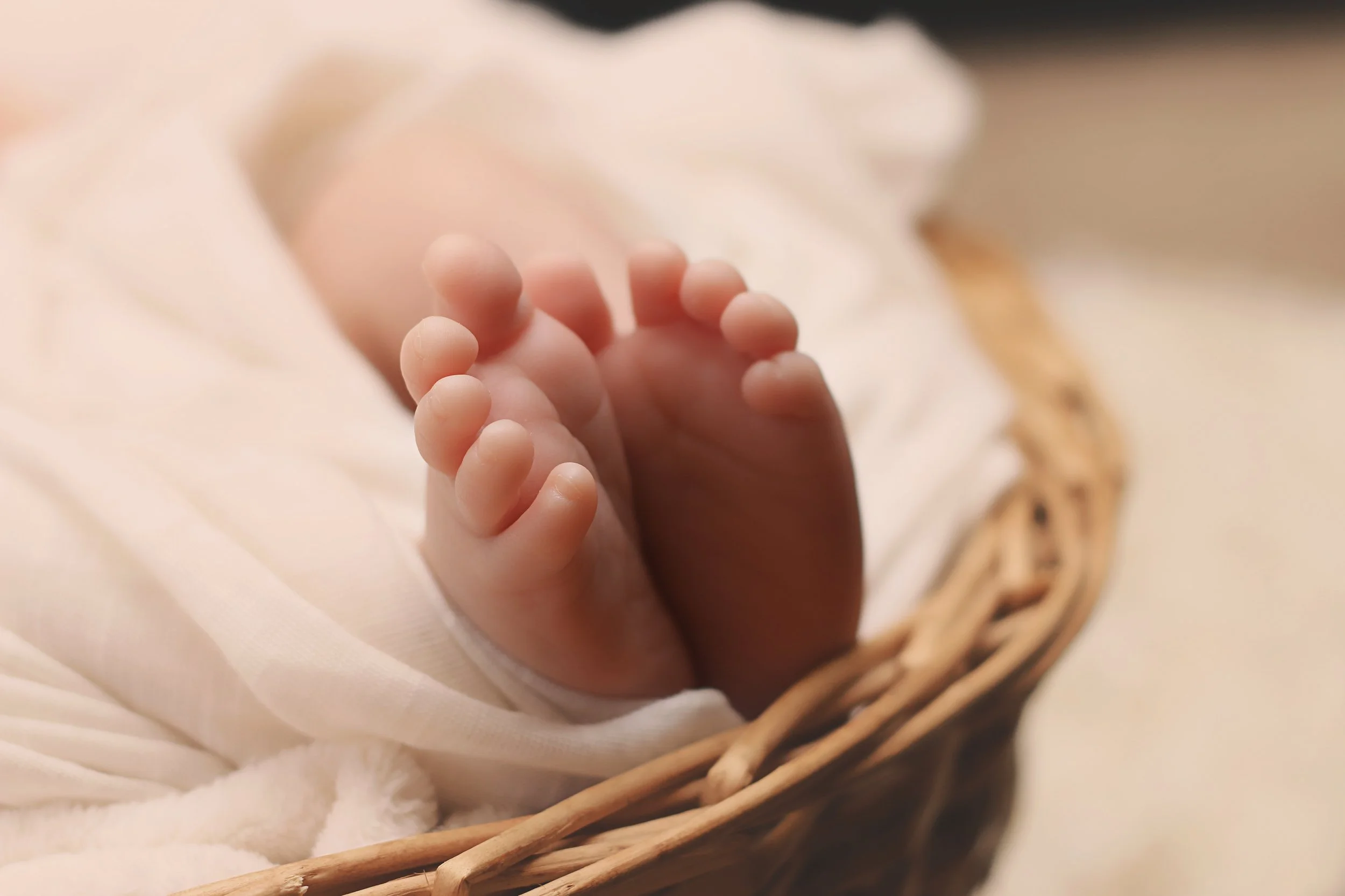 Why Jesus Was Born