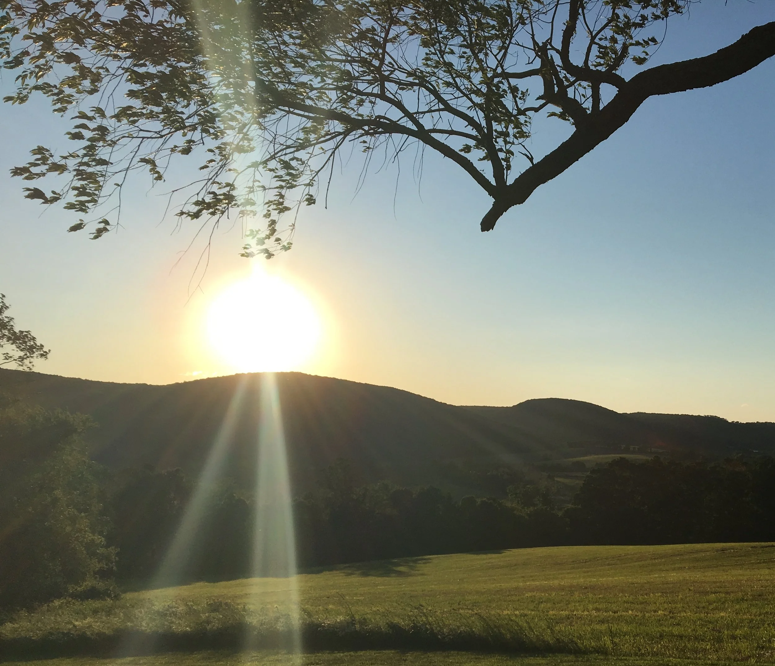 Relational Culture Residential