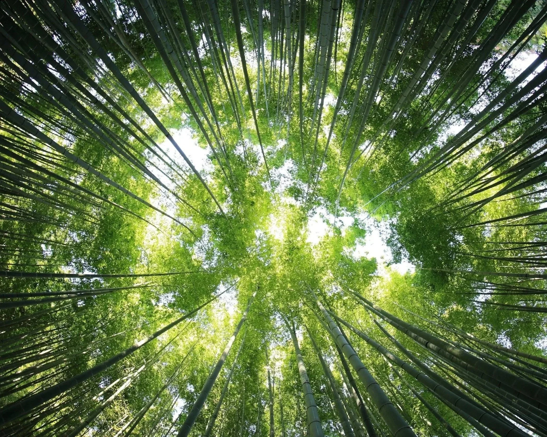 relational lens