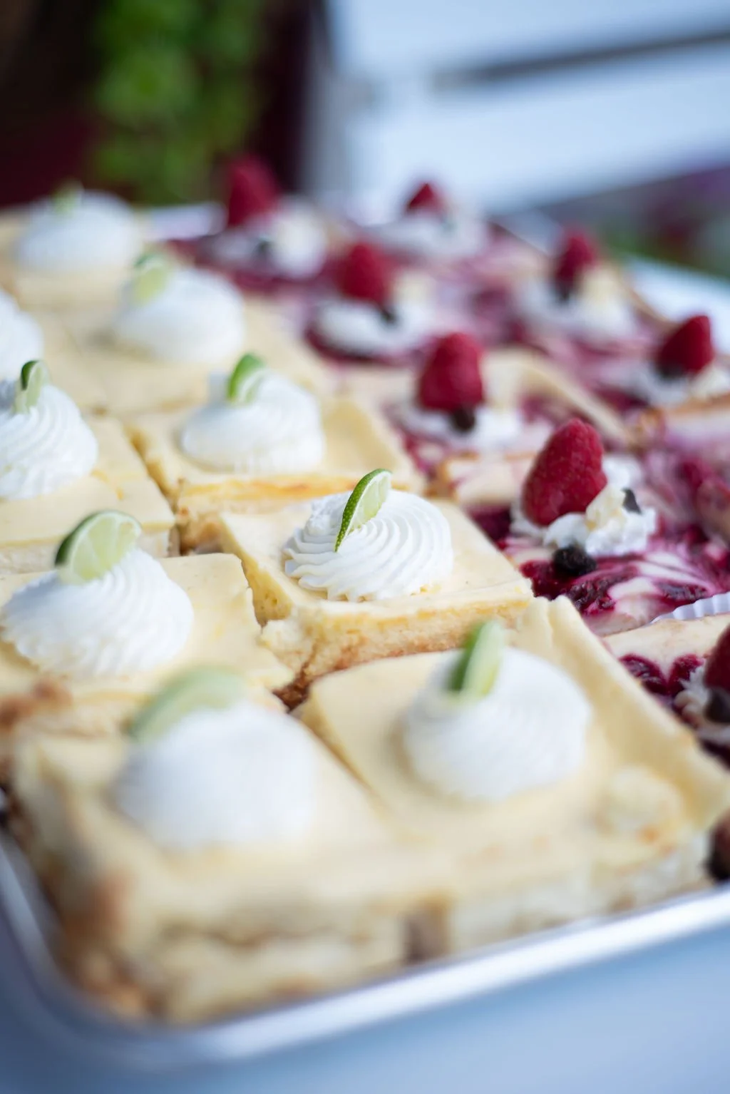 Cheesecake Bars