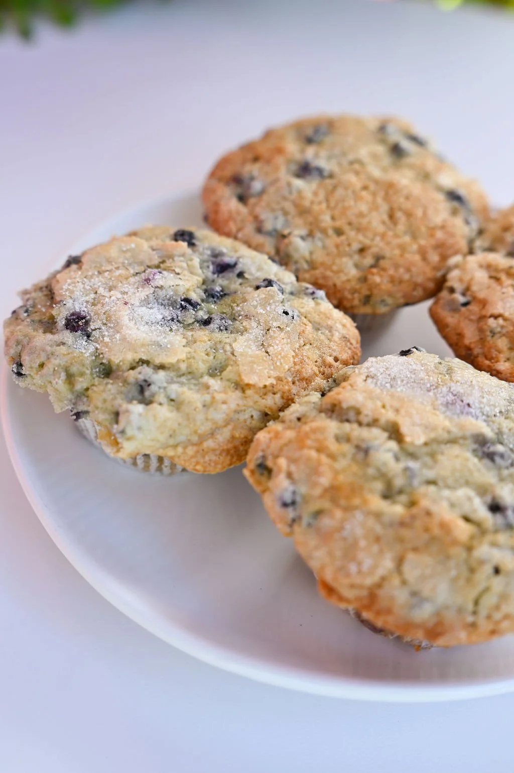 Blueberry Muffins