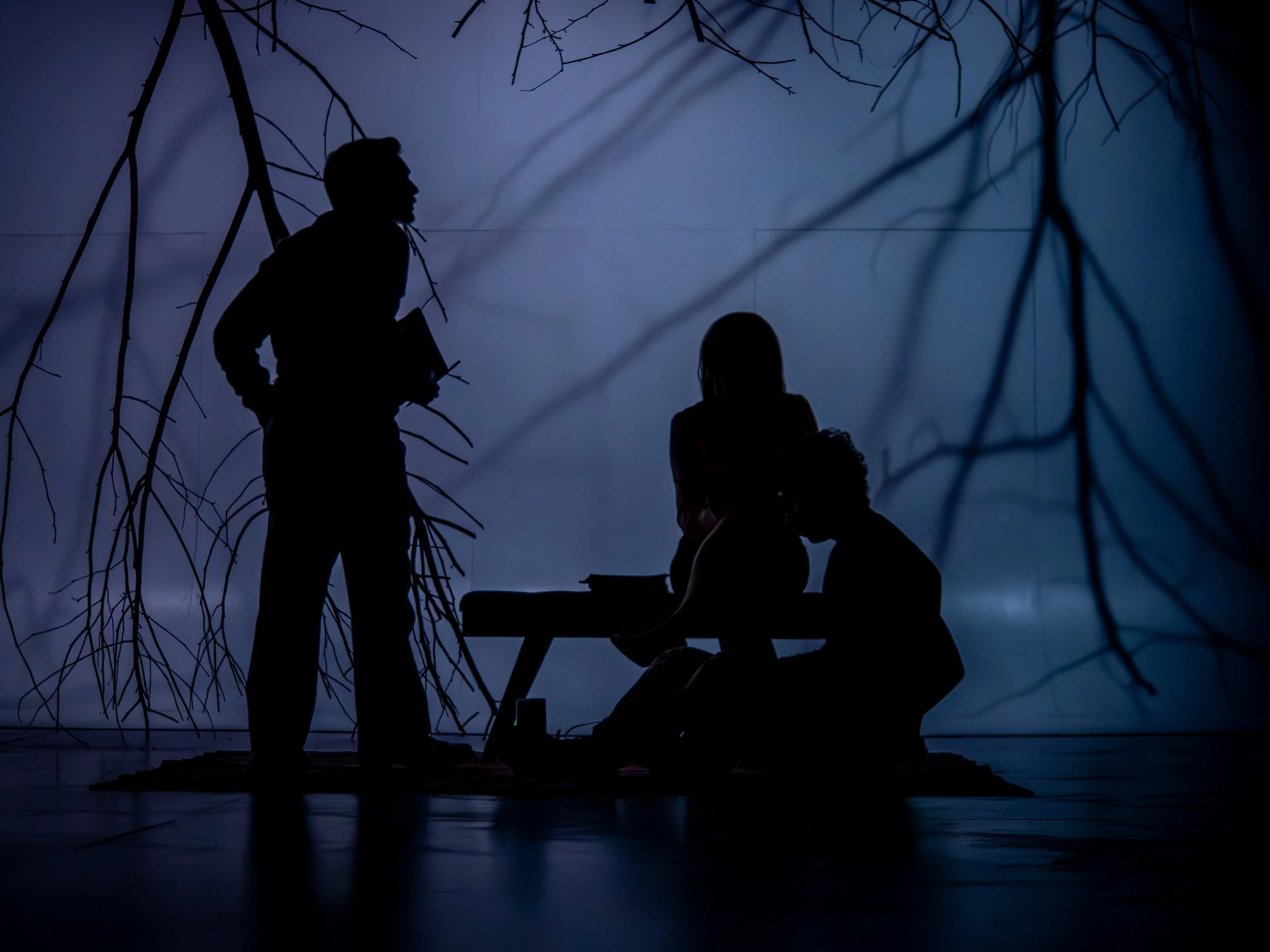 mad forest blackout sillhouette.jpg