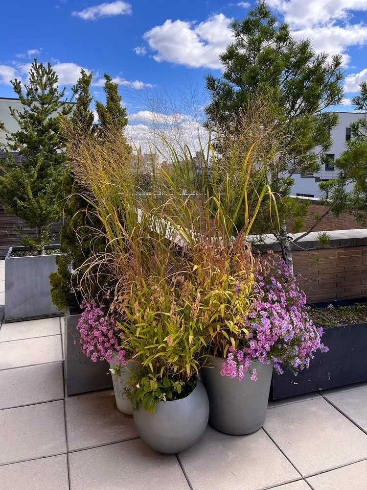 Rooftop+Meatpacking+(9).jpg