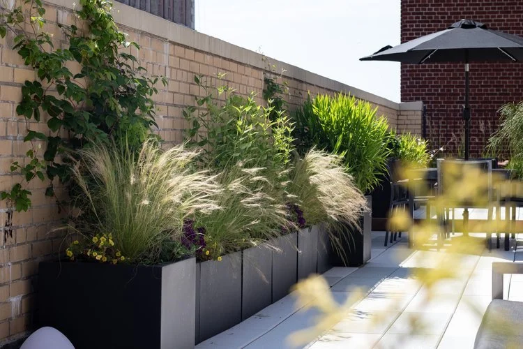 Upper West Side Rooftop