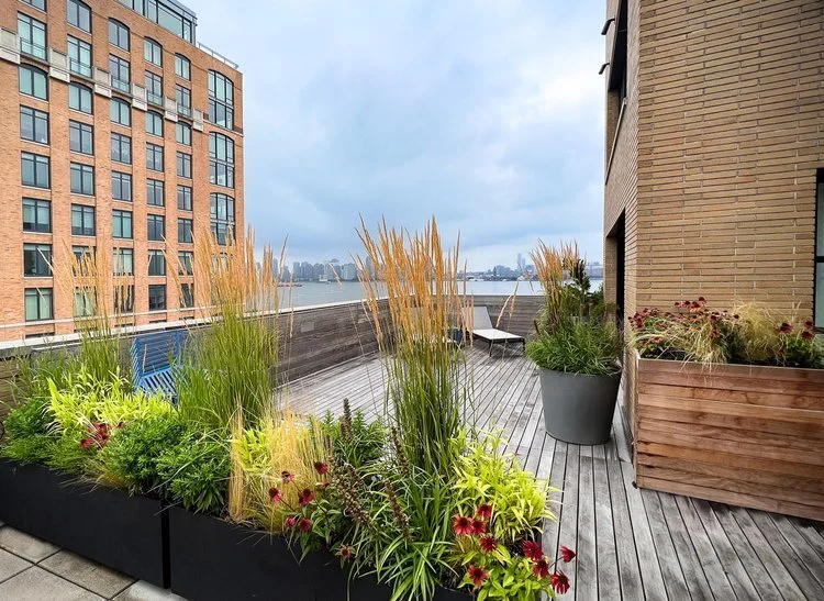 Rooftop+Meatpacking+(11).jpg