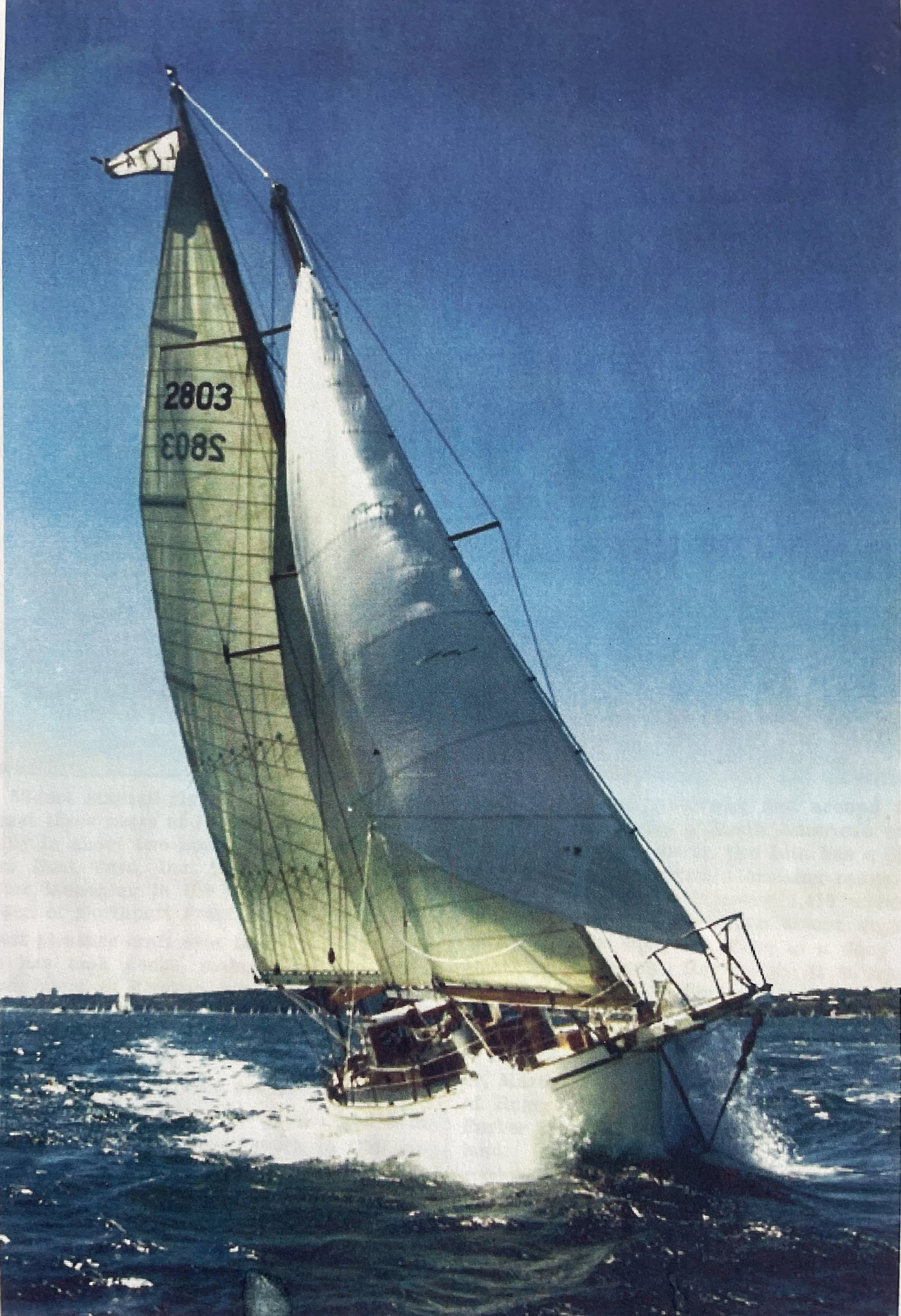 A sailboat with large yellow and white sails on choppy water, with a distant shoreline or harbor visible in the background.