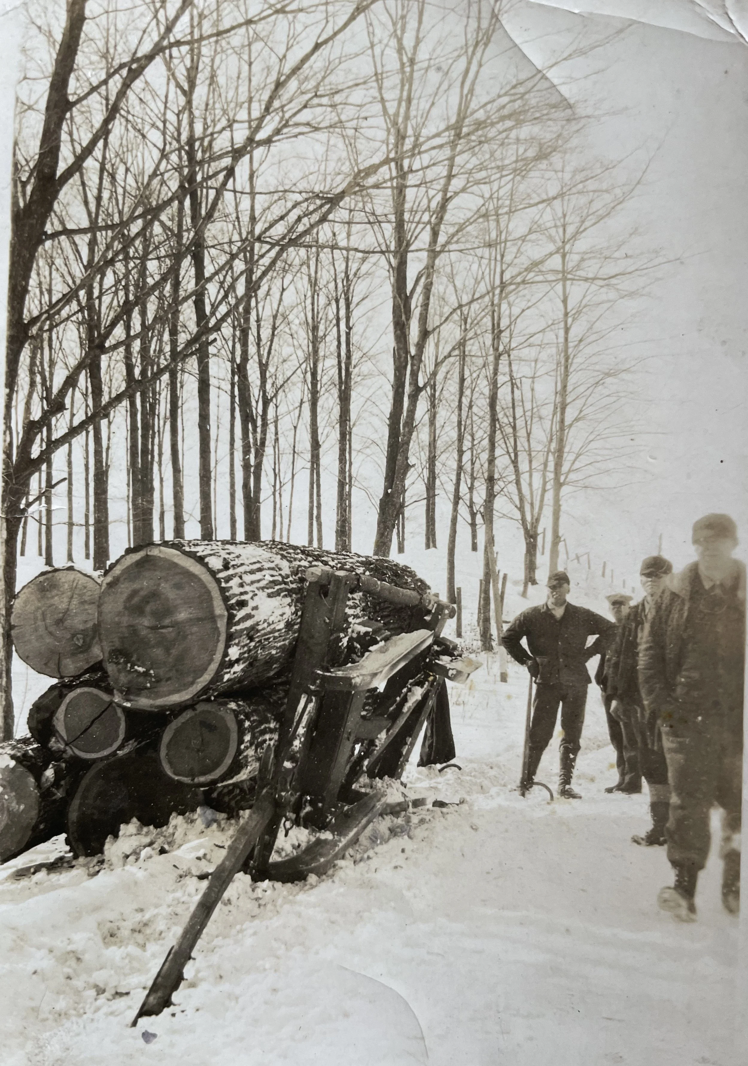 Black and white photograph of several people in winter clothing standing near a large pile of logs and an old flatbed wagon in a snow-covered forest with leafless trees in the background.