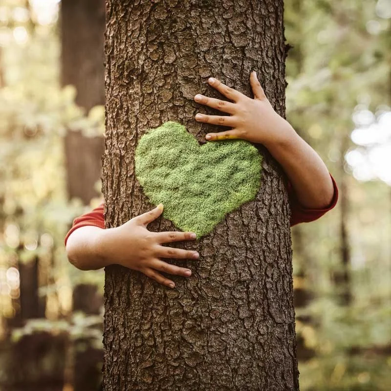 Child hugging a tree with a green heart-shaped patch on the trunk.